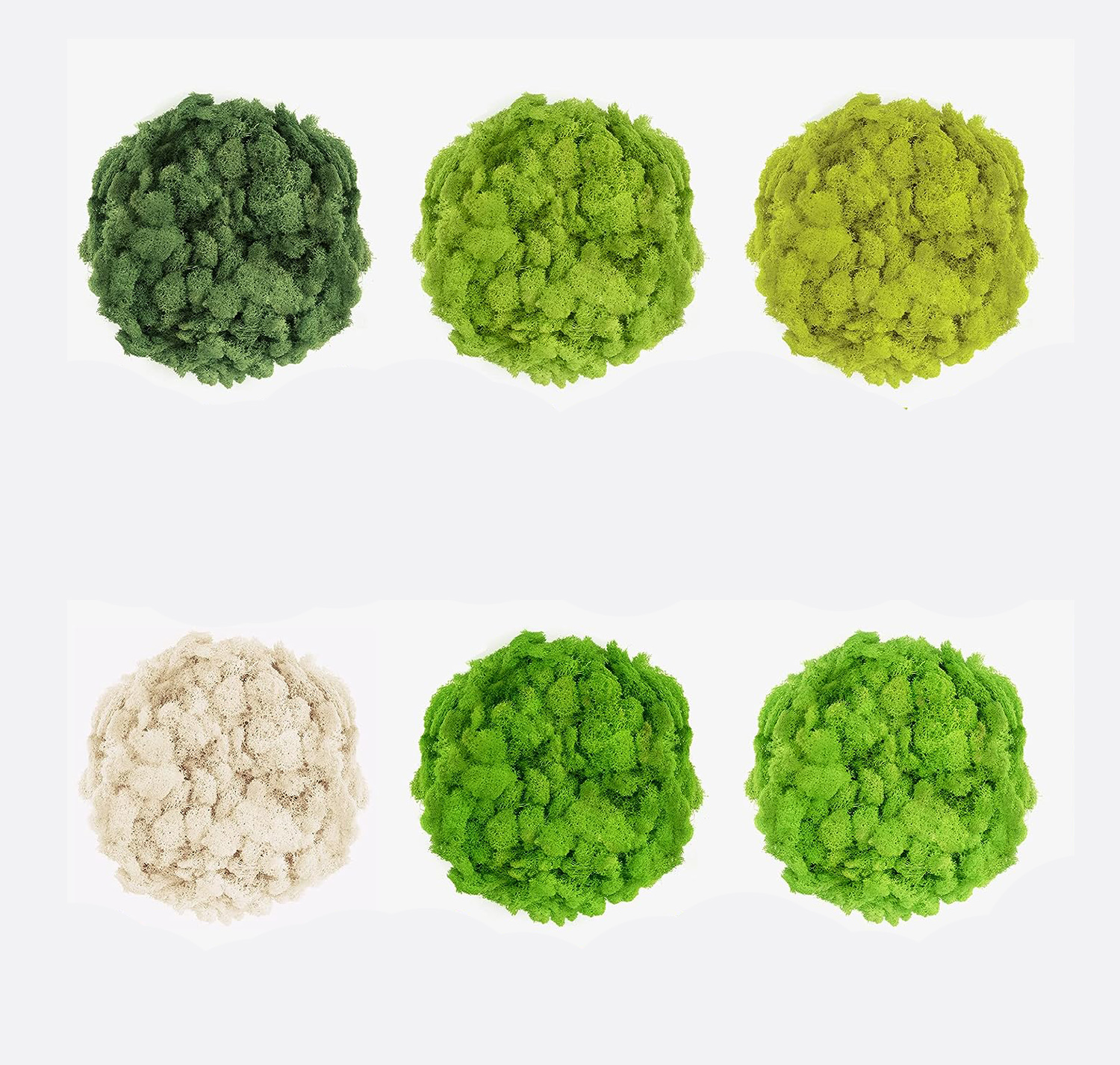Sphagnum Moss Dry - 20/40/60g Eternal Life Moss Artificial Green