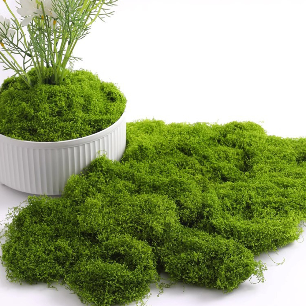 Eternal Life Moss DIY Crafts G - Sphagnum Moss Dry avaliação e preço