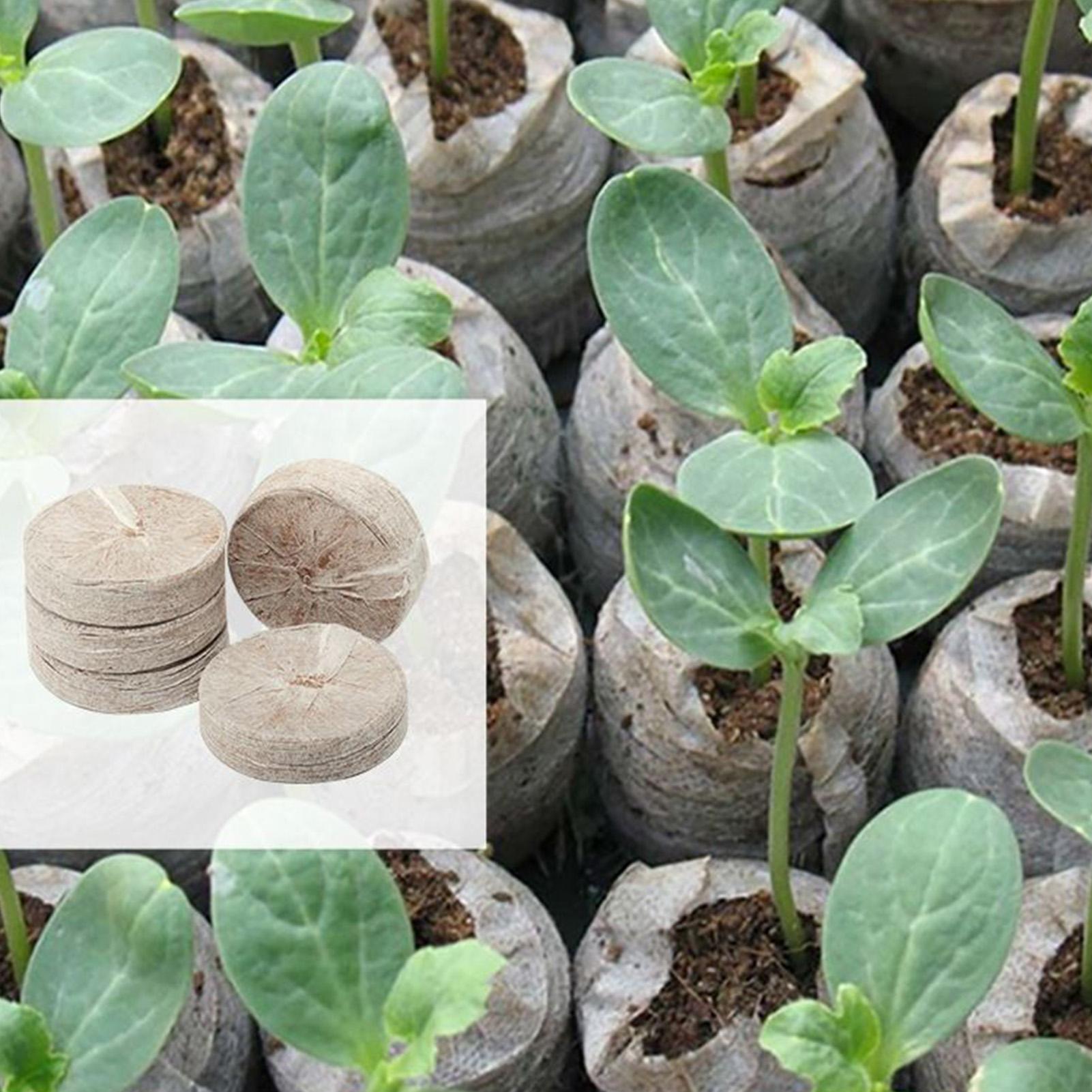 Peat Pellets 100 Piece Potting - Peat Pellet Tray avaliação e preço