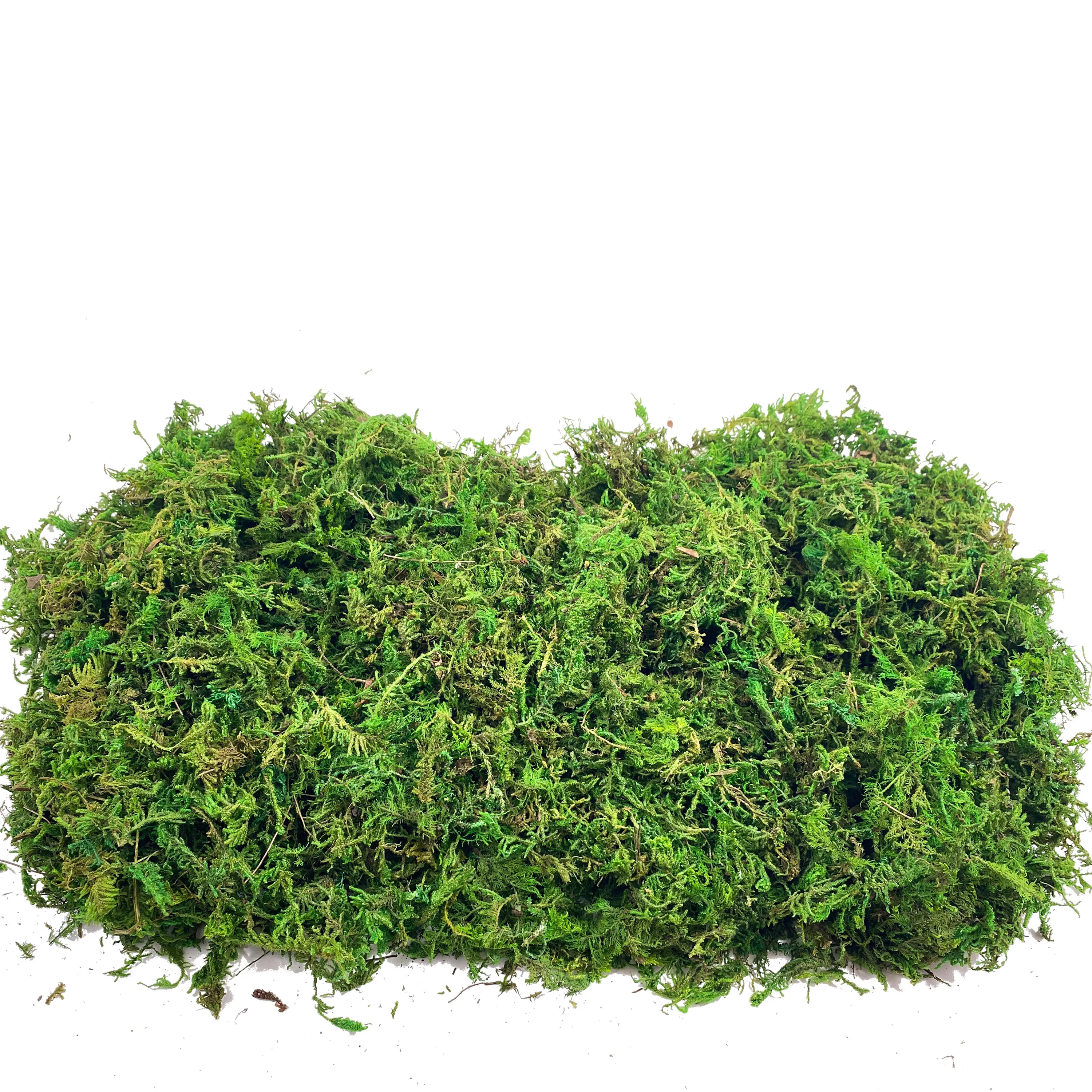 Fake Moss Artificial Moss for  - Sphagnum Moss Dry avaliação e preço