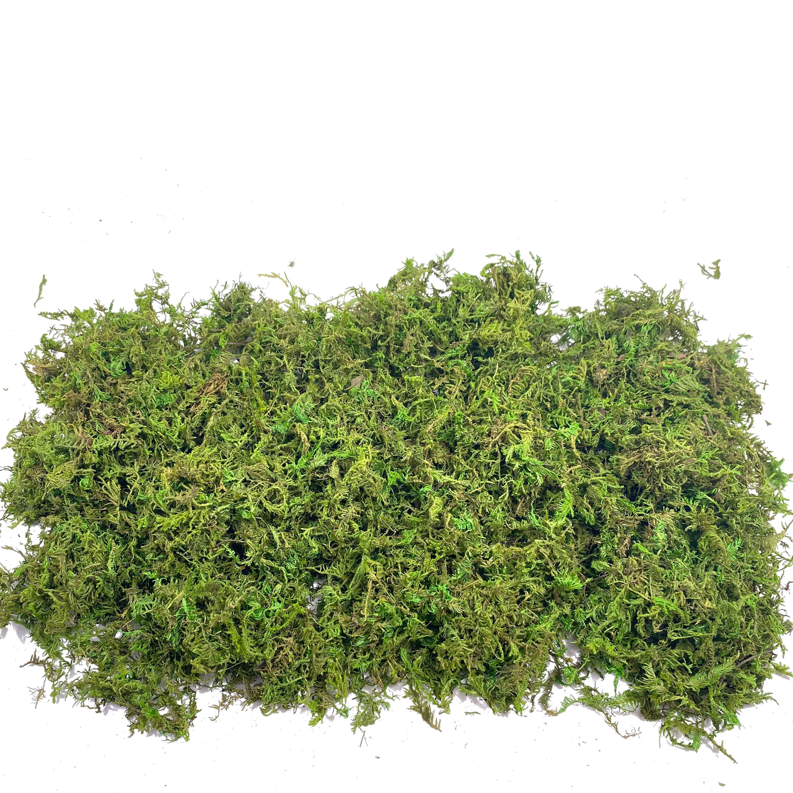 Fake Moss Artificial Moss for  - Sphagnum Moss Dry avaliação e preço