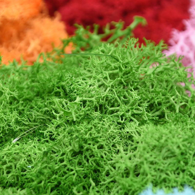 20/40g Artificial Green Plants - Sphagnum Moss Dry avaliação e preço