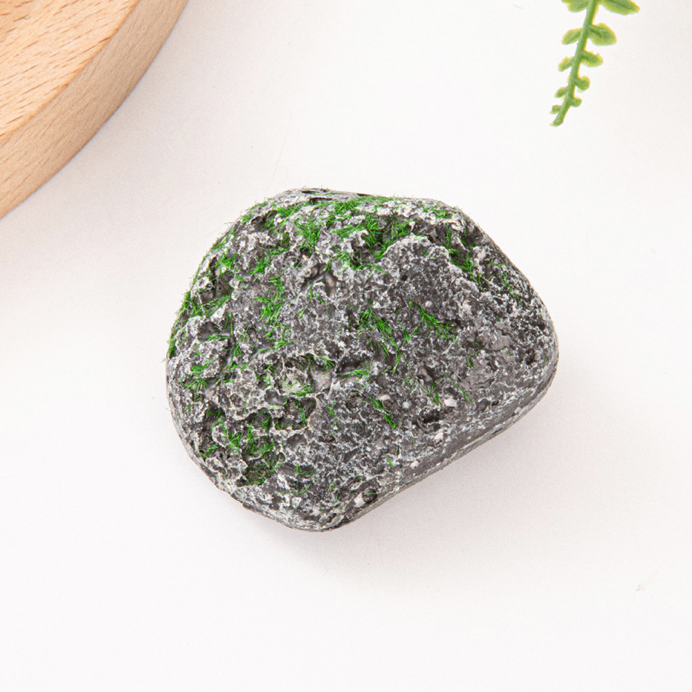 10PCS Mossy Gray Stone Multi-s - Sphagnum Moss Dry avaliação e preço