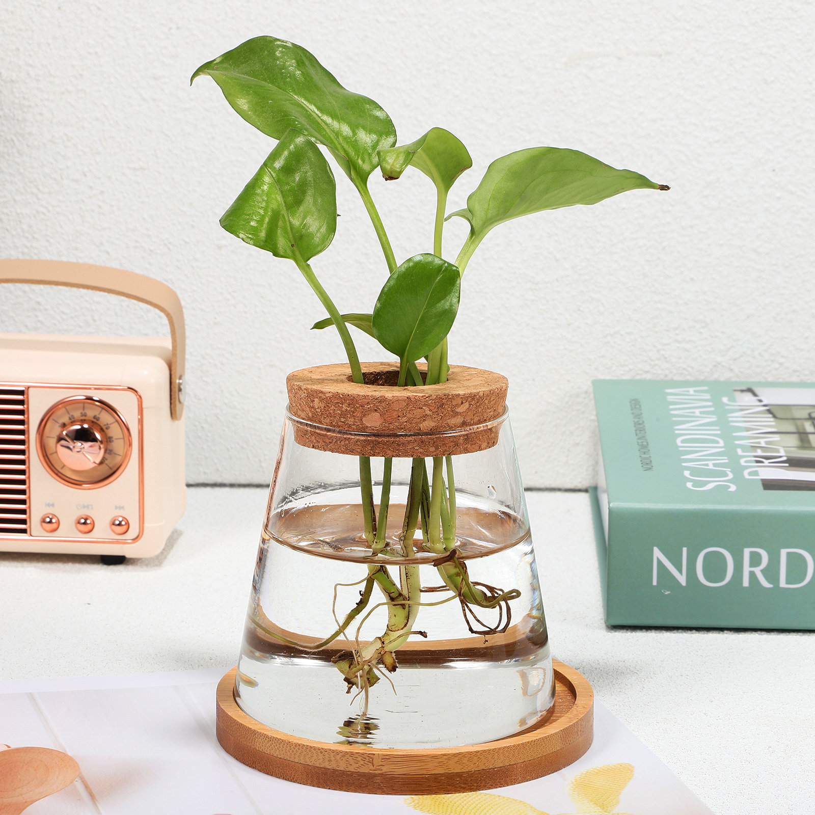 2Pcs Water Planters Glass Prop - Propagation Station Vase avaliação e preço