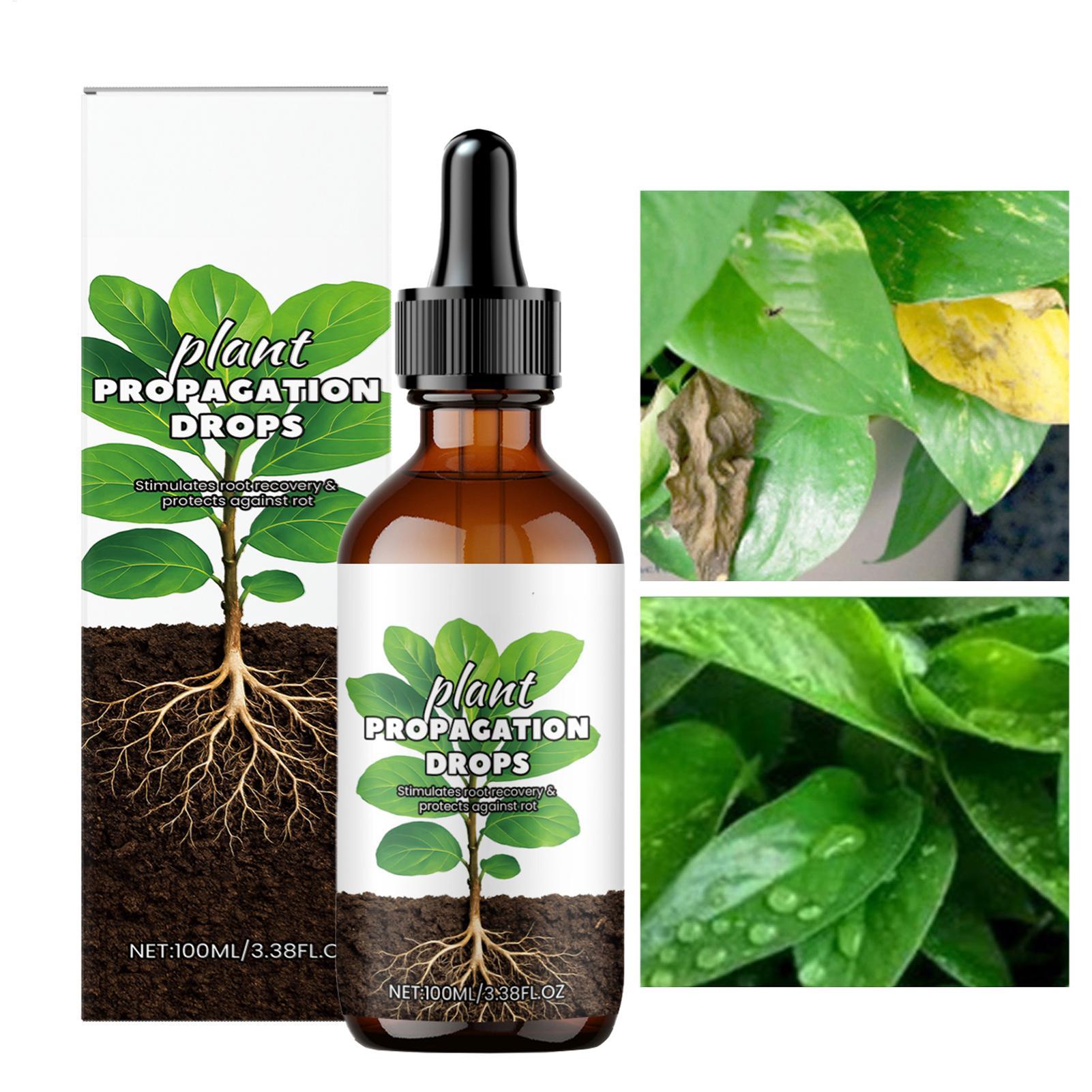 Root Booster 100ml Liquid Root - Root Stimulator Liquid avaliação e preço