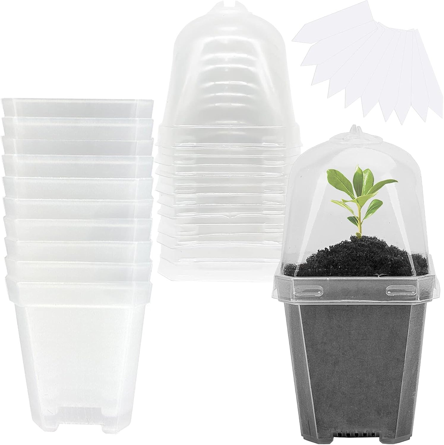 10 PCS Clear Plant Nursery Pot - Plastic Dome Clear avaliação e preço