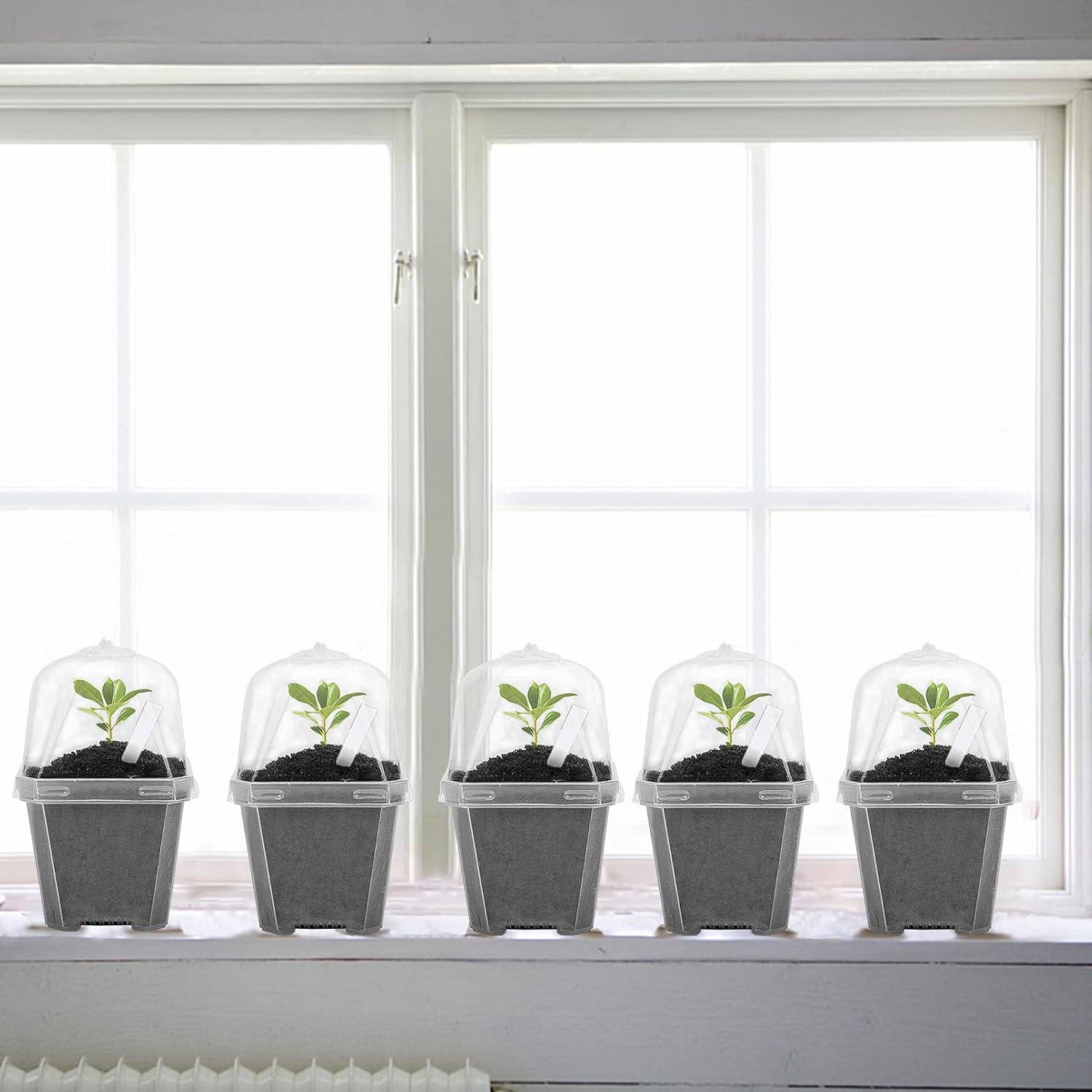 10 PCS Clear Plant Nursery Pot - Plastic Dome Clear avaliação e preço