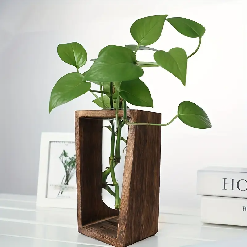 Modern Wood Propagation Vase - - Propagation Station Vase avaliação e preço