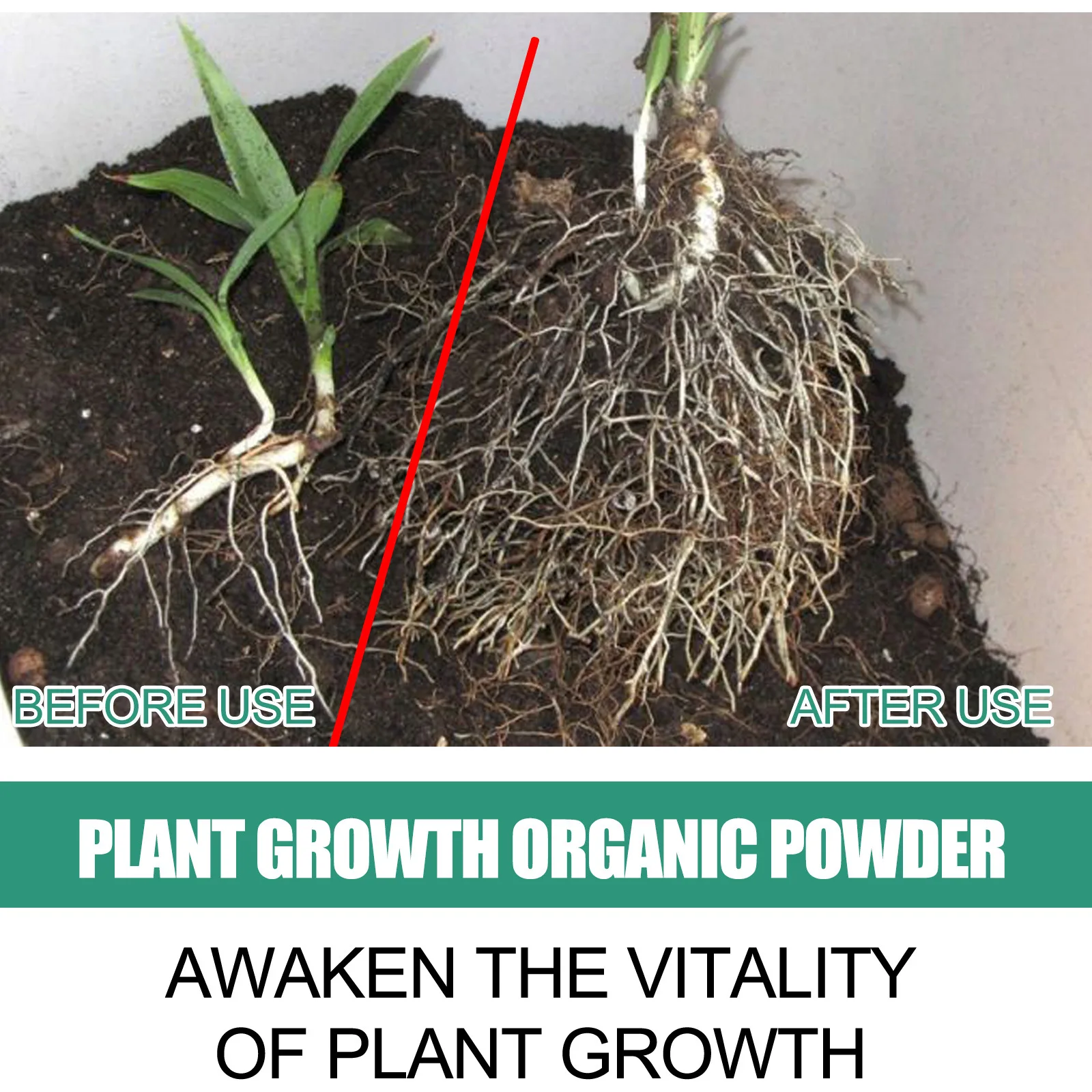 Fast Rooting Powder Plant Soil - Rooting Hormone Powder avaliação e preço