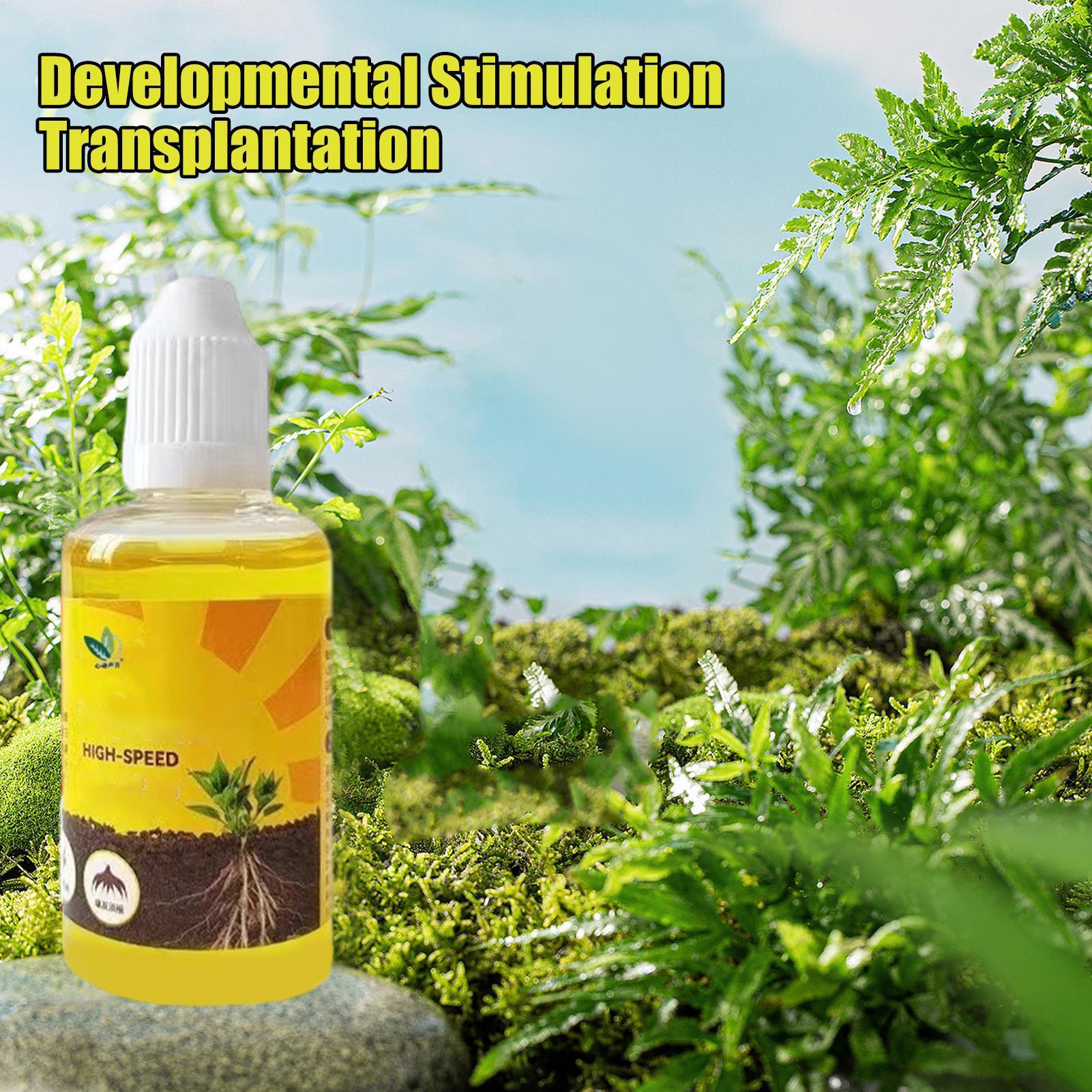 50ml Plant Rooting Stimulator  - Root Stimulator Liquid avaliação e preço