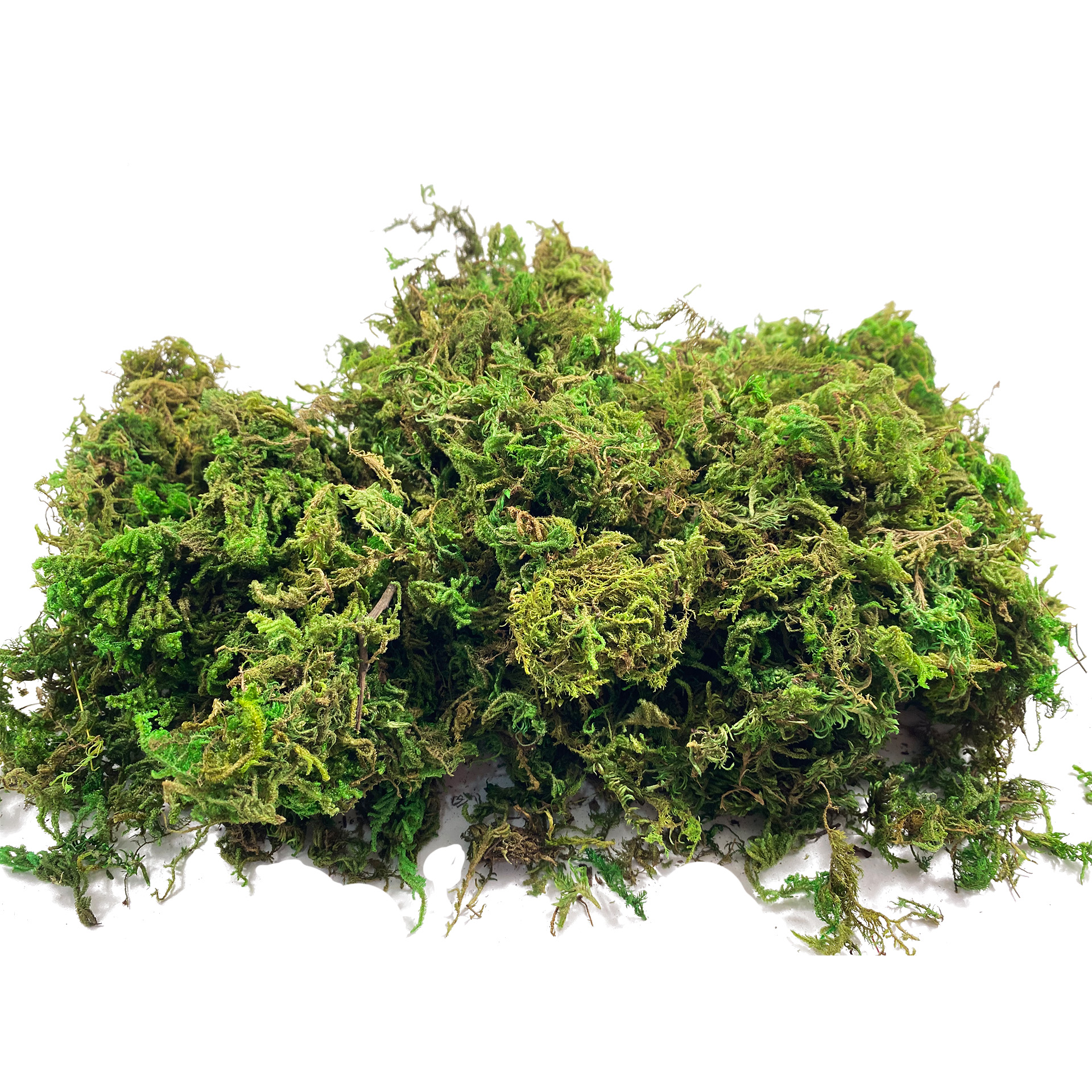 Artificial Fake Moss, Craft Mo - Sphagnum Moss Dry avaliação e preço