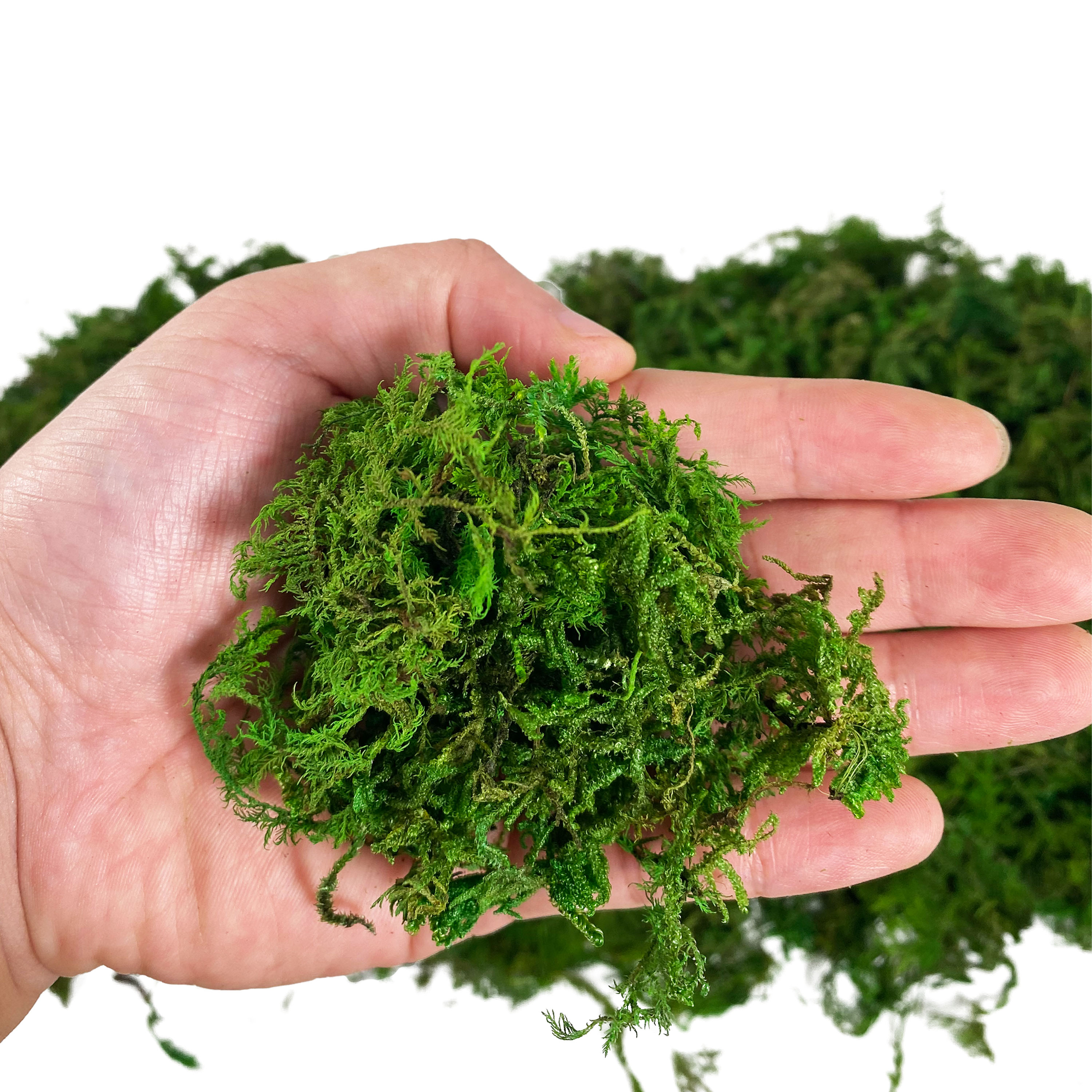 Artificial Fake Moss, Craft Mo - Sphagnum Moss Dry avaliação e preço