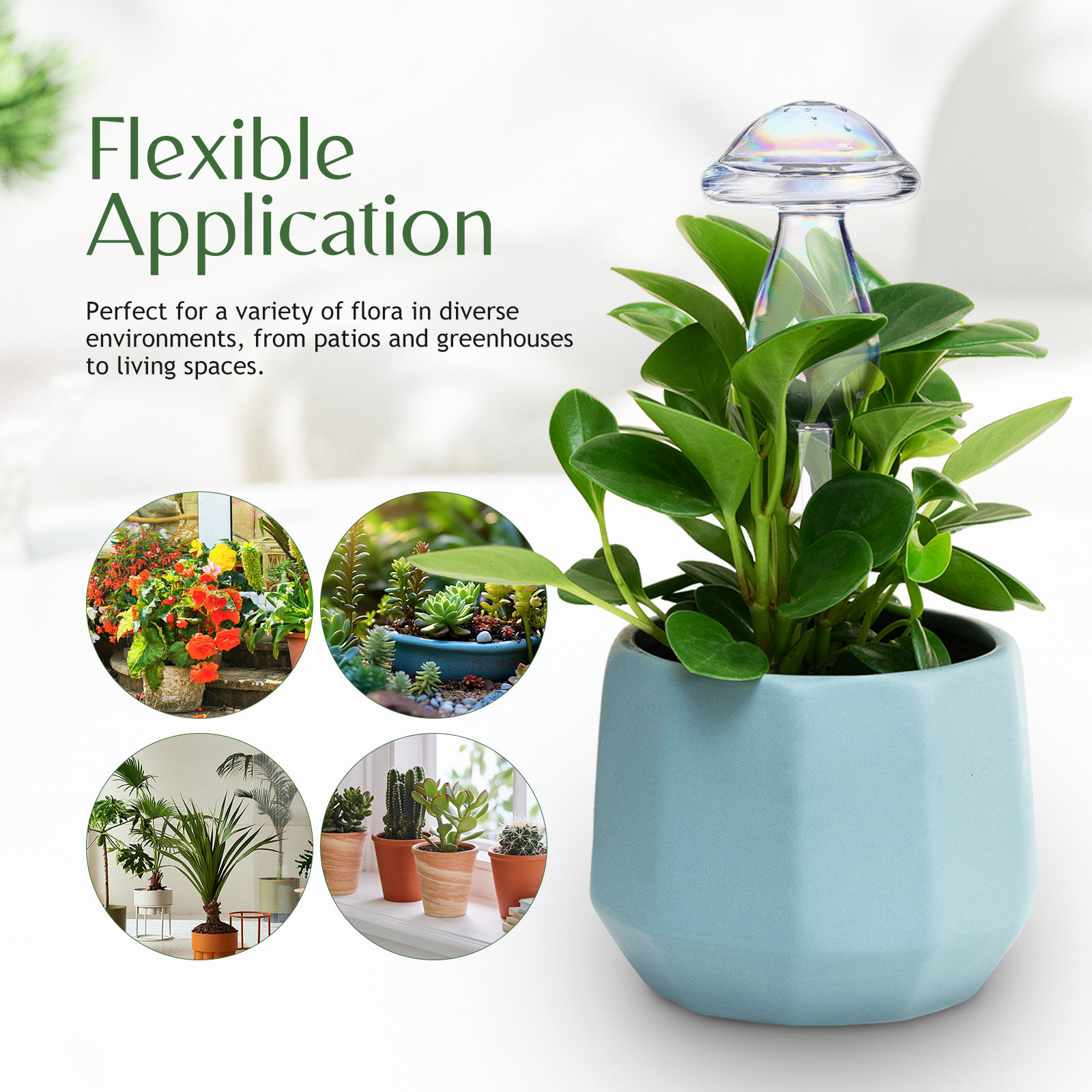 4 Pcs Pot Watering Device Plan - Self Watering Insert avaliação e preço