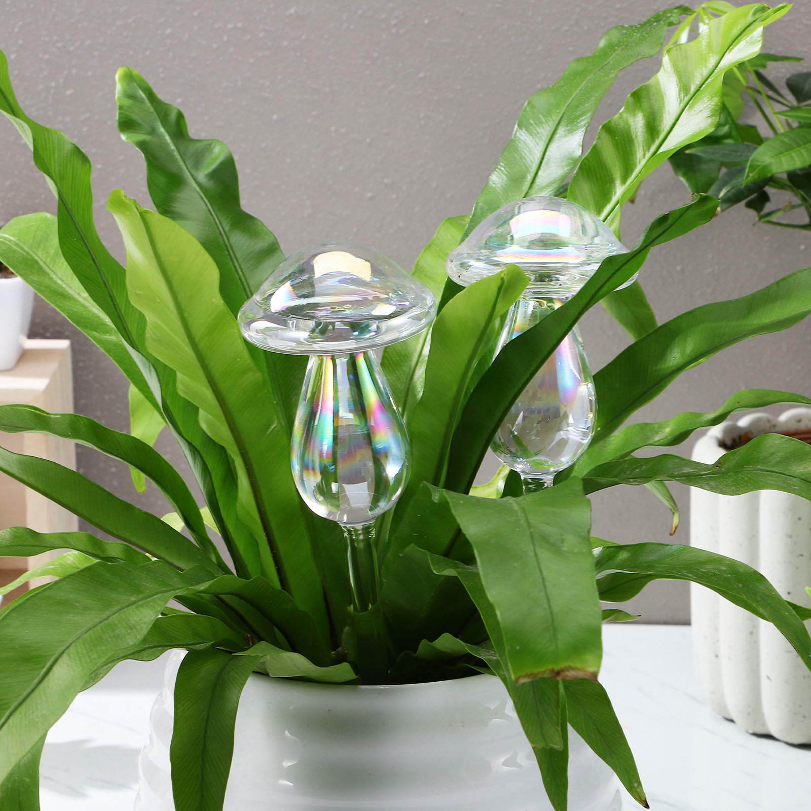 4 Pcs Pot Watering Device Plan - Self Watering Insert avaliação e preço