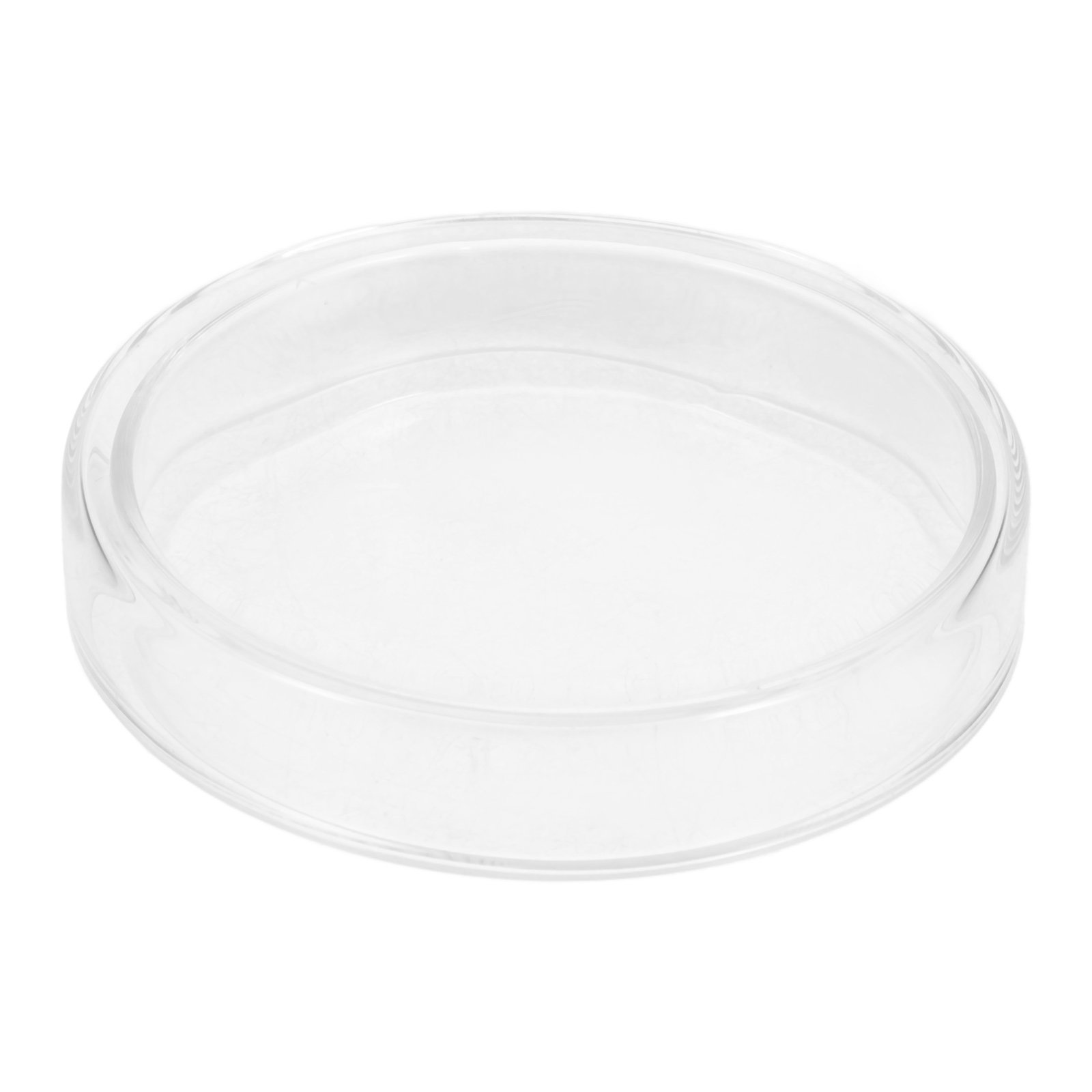 High Borosilicate Glass Petri  - Agar Tissue Culture avaliação e preço