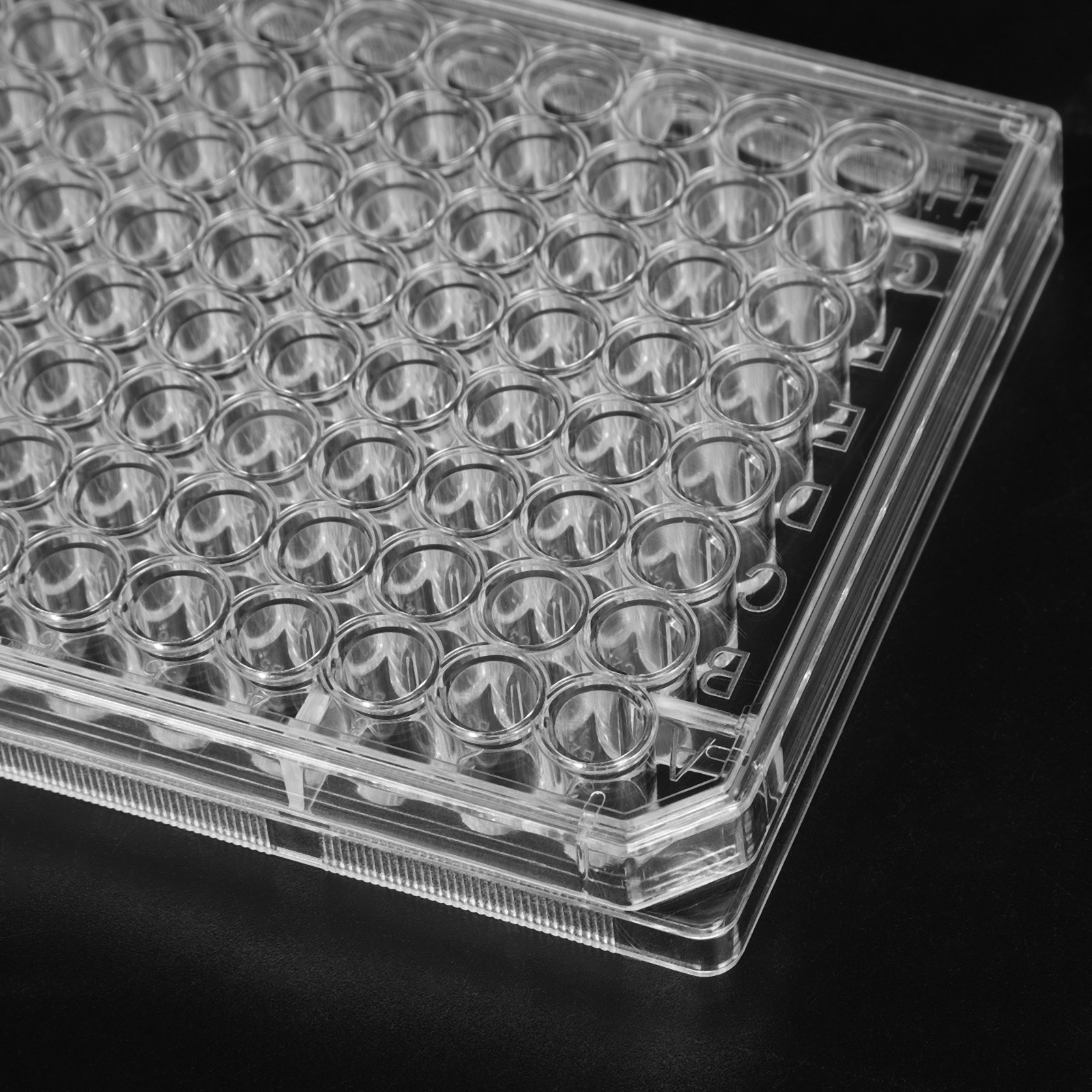 10Pcs Cell Culture Plate Steri - Agar Tissue Culture avaliação e preço