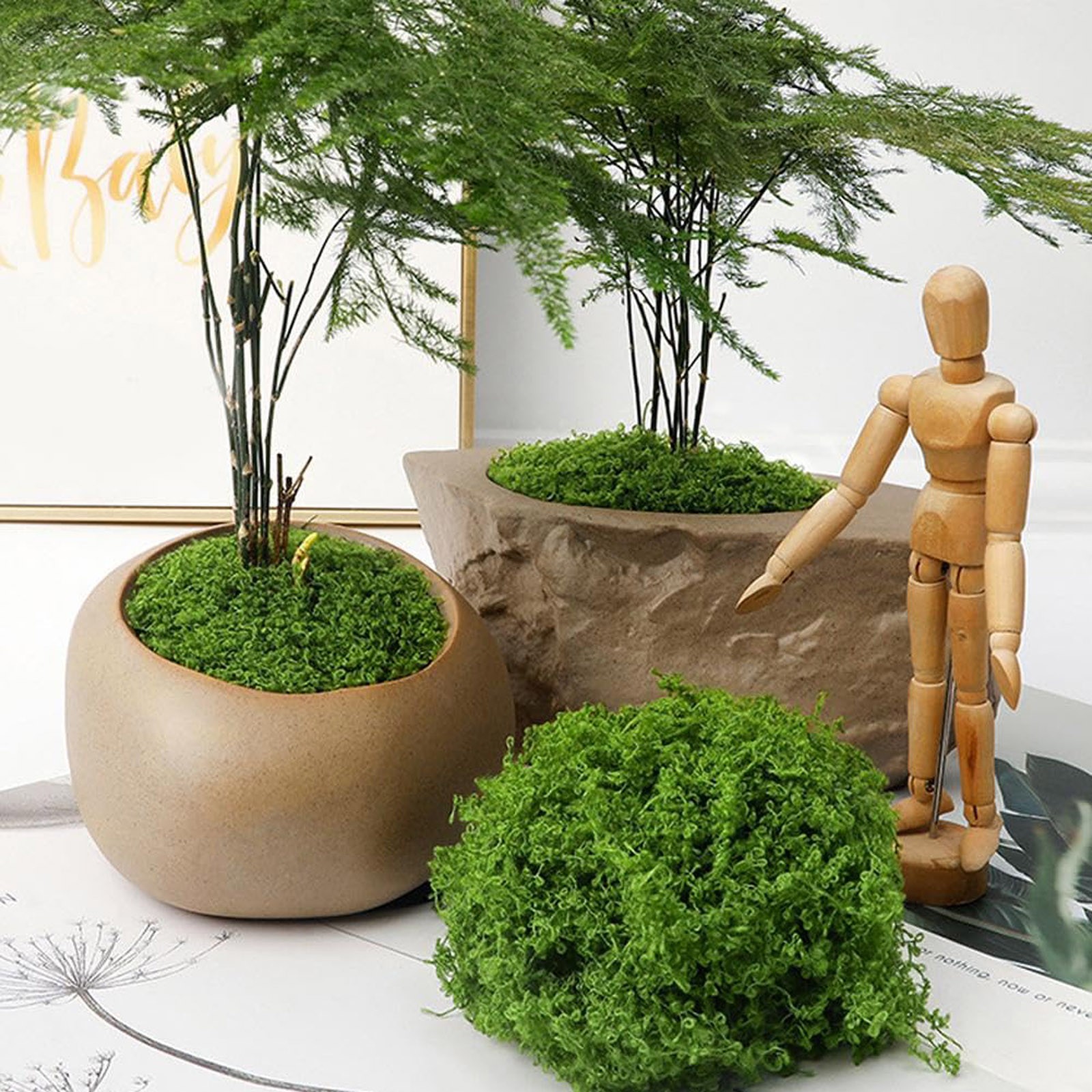 50/200g Artificial Moss For De - Sphagnum Moss Dry avaliação e preço