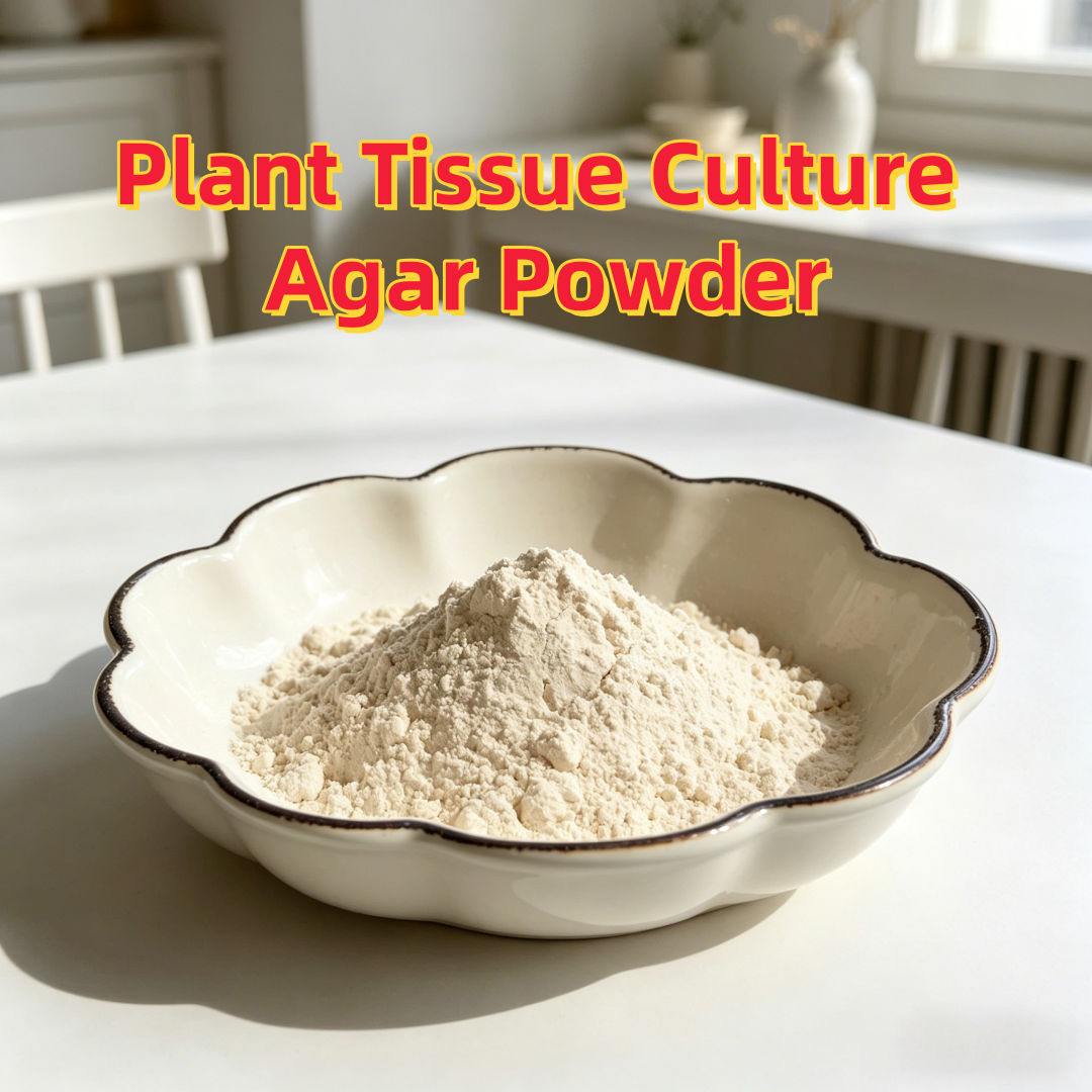 High Gel Strength Plant Tissue - Agar Tissue Culture avaliação e preço