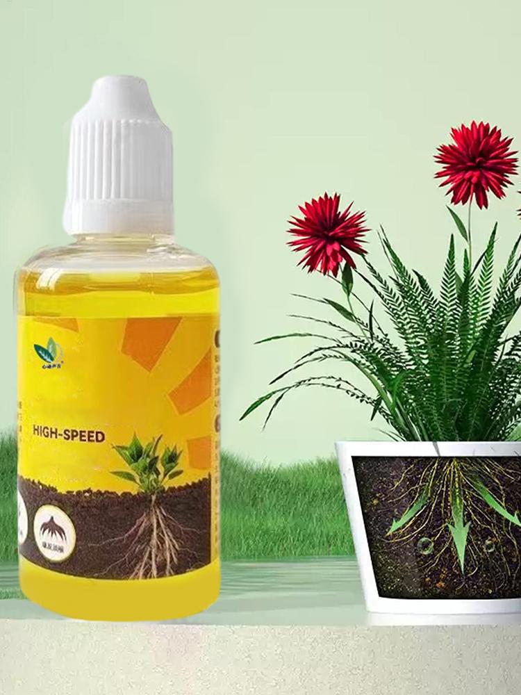 Plant Rooting Stimulator Liqui - Root Stimulator Liquid avaliação e preço