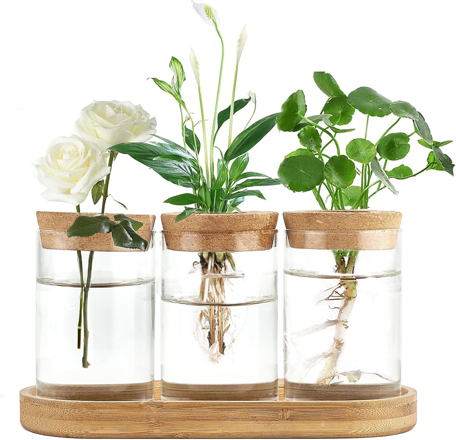 3 Pcs Glass Plant Propagation  - Propagation Station Vase avaliação e preço