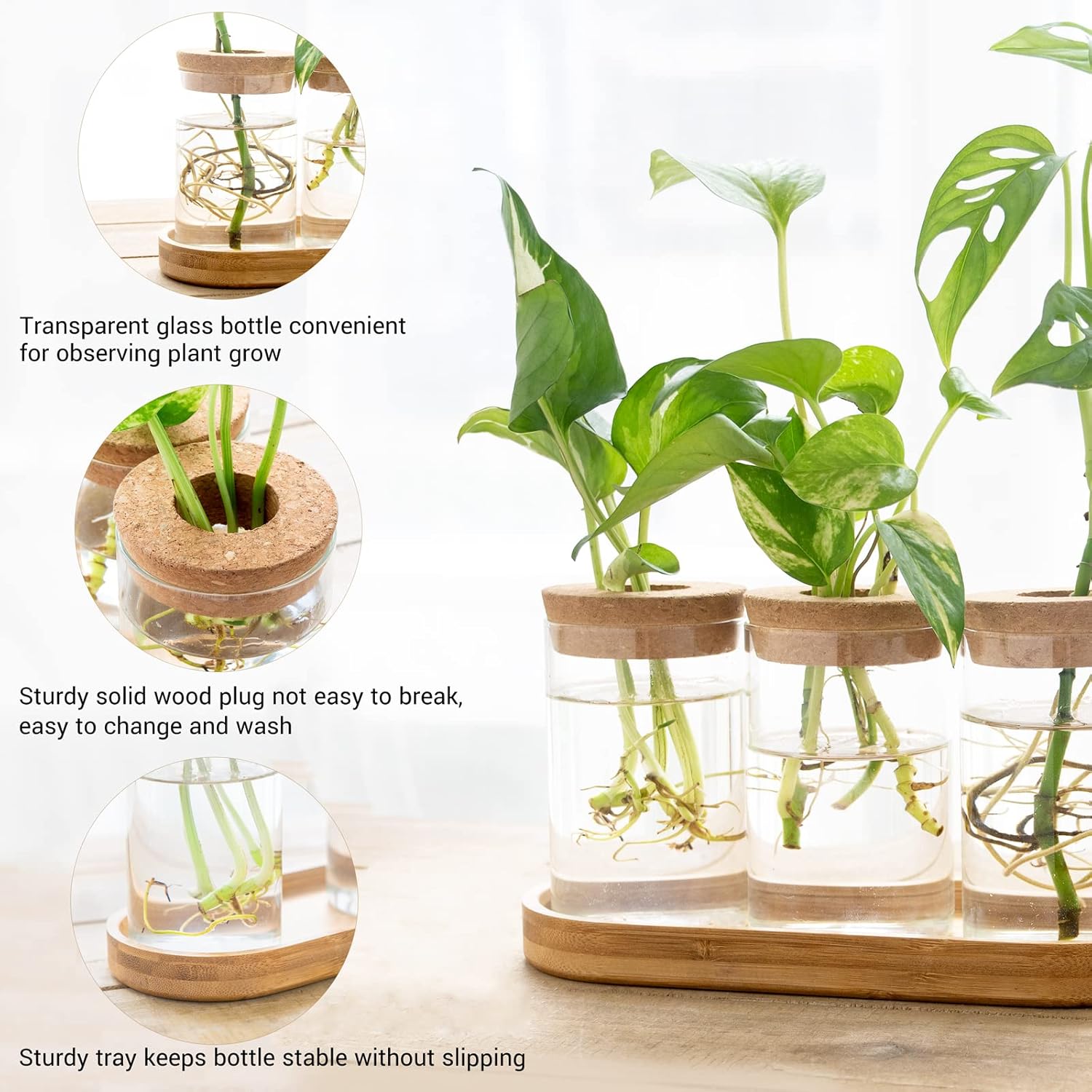 3 Pcs Glass Plant Propagation  - Propagation Station Vase avaliação e preço