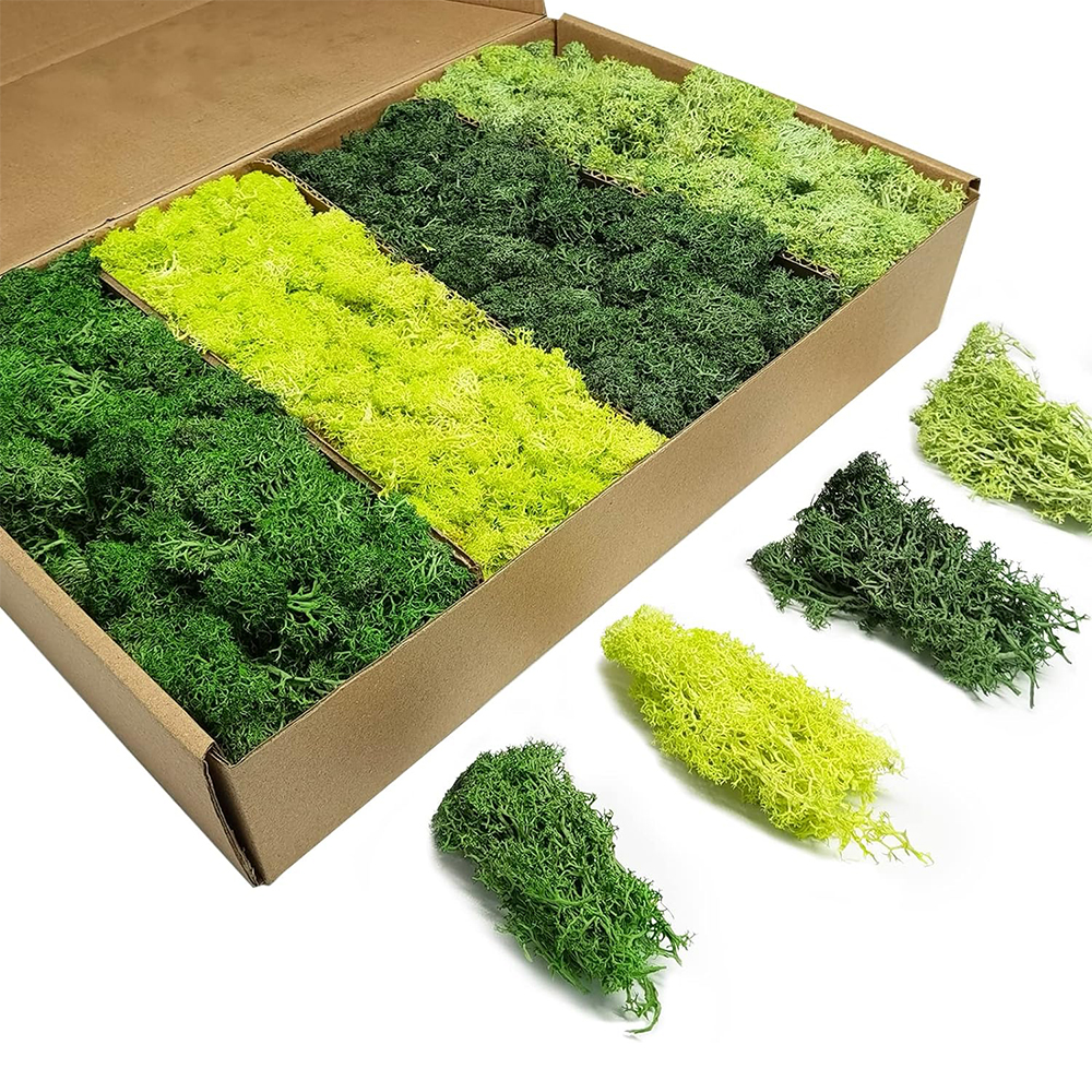 Artificial Green Plants Eterna - Sphagnum Moss Dry avaliação e preço
