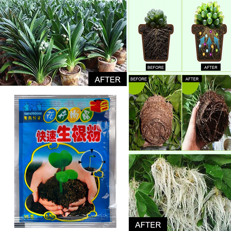 5pcs Fast Rooting Powder Plant - Rooting Hormone Powder avaliação e preço