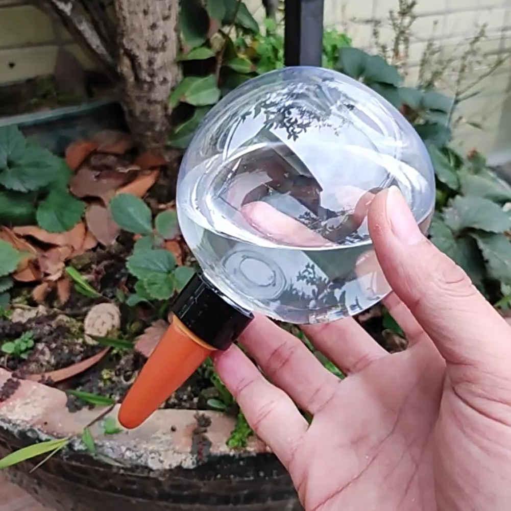 500ML Self Watering Globes Dri - Self Watering Insert avaliação e preço