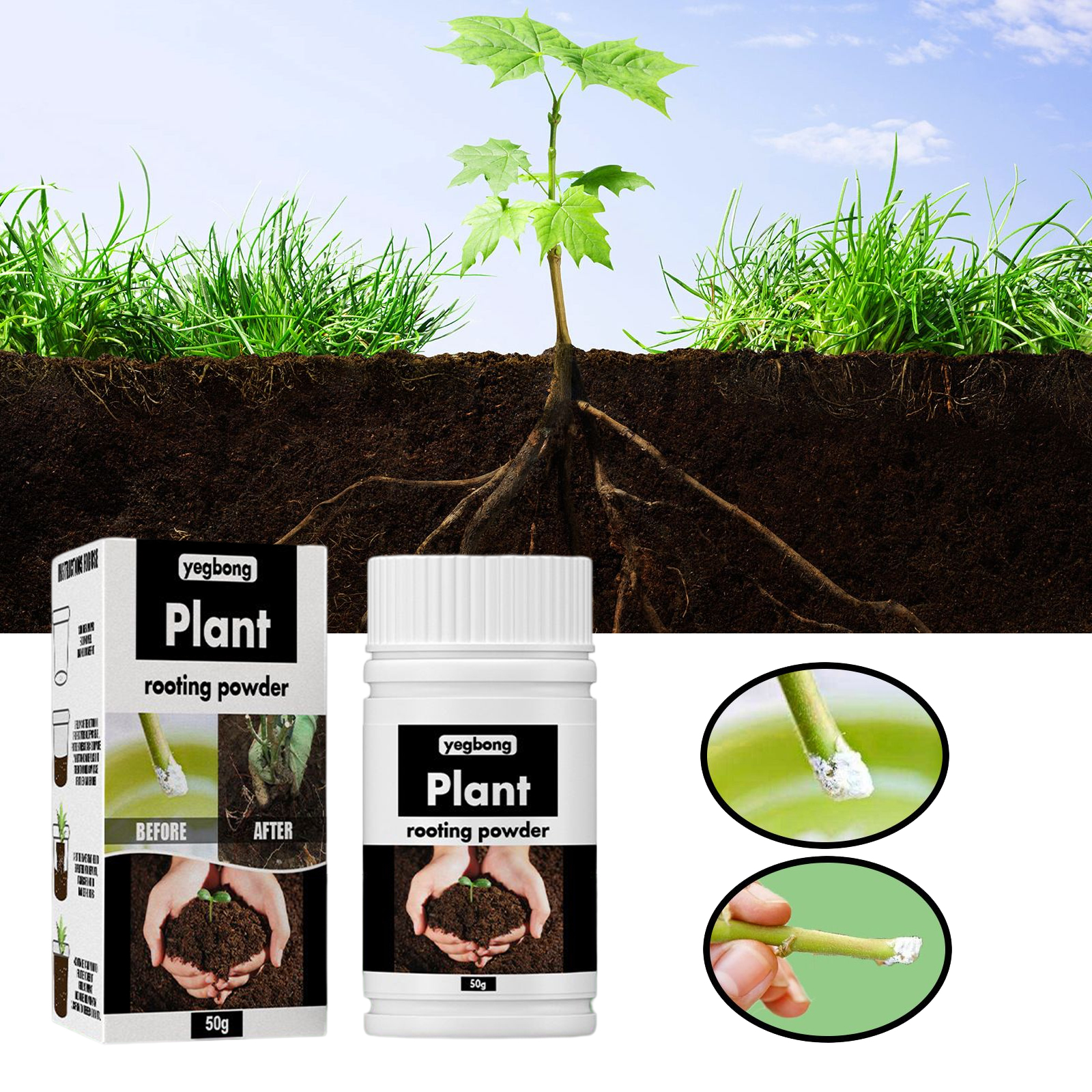 1Rare Plant Rooting Powder Pla - Rooting Hormone Powder avaliação e preço