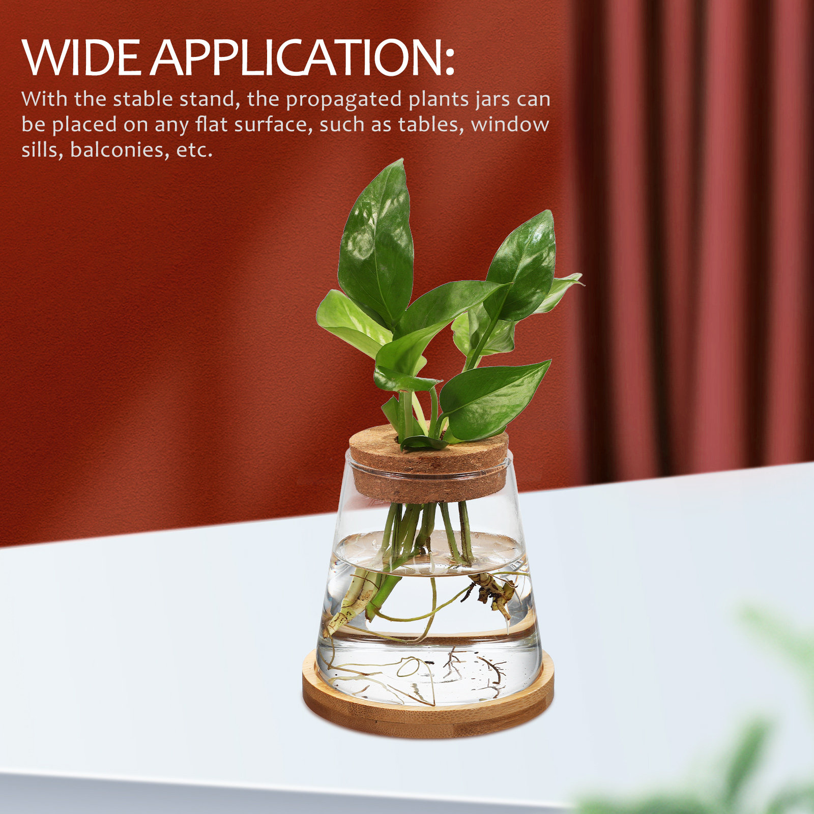2Pcs Hydroponic Plants Propaga - Propagation Station Vase avaliação e preço