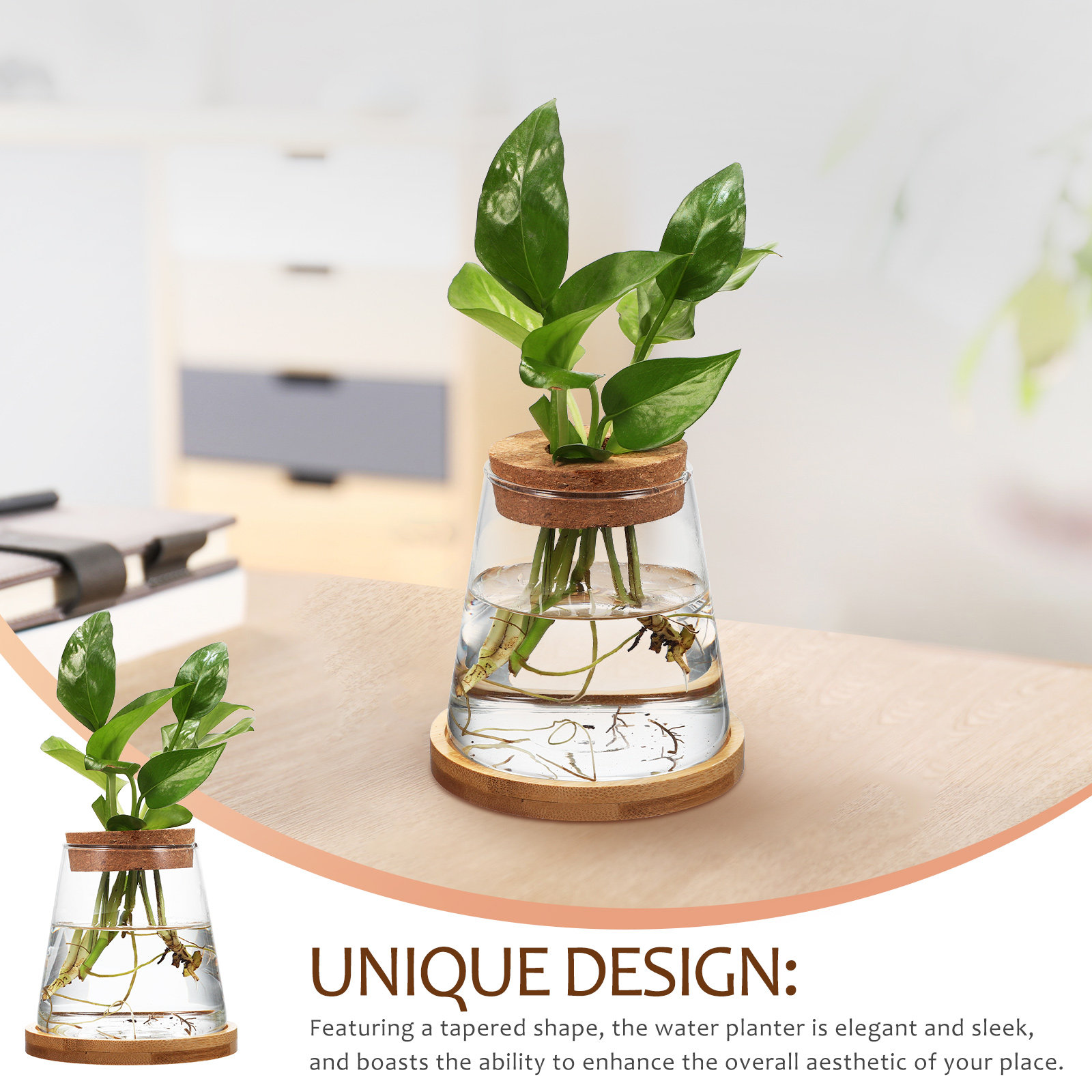 2Pcs Hydroponic Plants Propaga - Propagation Station Vase avaliação e preço