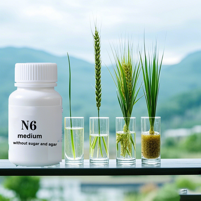 N6 Medium Wtihout Sugar Or Aga - Agar Tissue Culture avaliação e preço