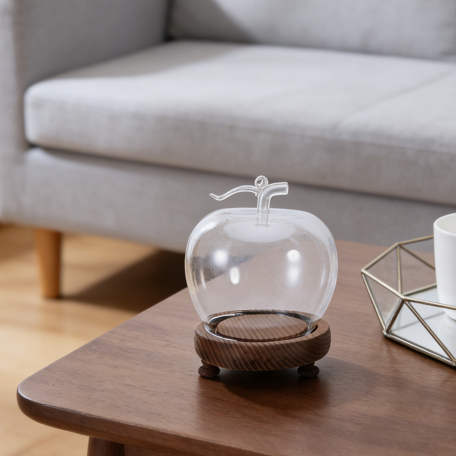 Clear Glass Dome Display with  - Plastic Dome Clear avaliação e preço