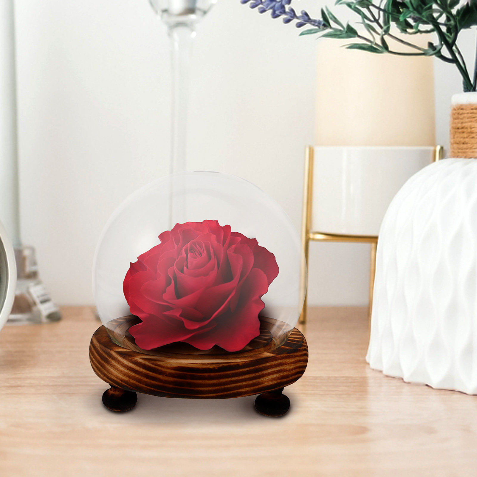 Glass Dome Display Case with W - Plastic Dome Clear avaliação e preço