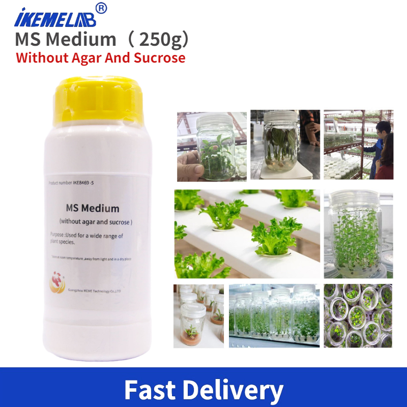 IKEME Lab MS Medium 250g Witho - Agar Tissue Culture avaliação e preço