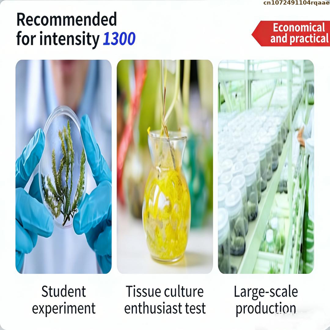 Premium Plant Tissue Culture A - Agar Tissue Culture avaliação e preço