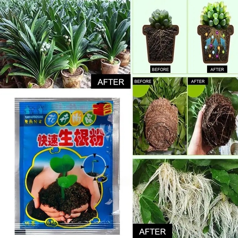 5pcs Fast Rooting Powder Plant - Rooting Hormone Powder avaliação e preço