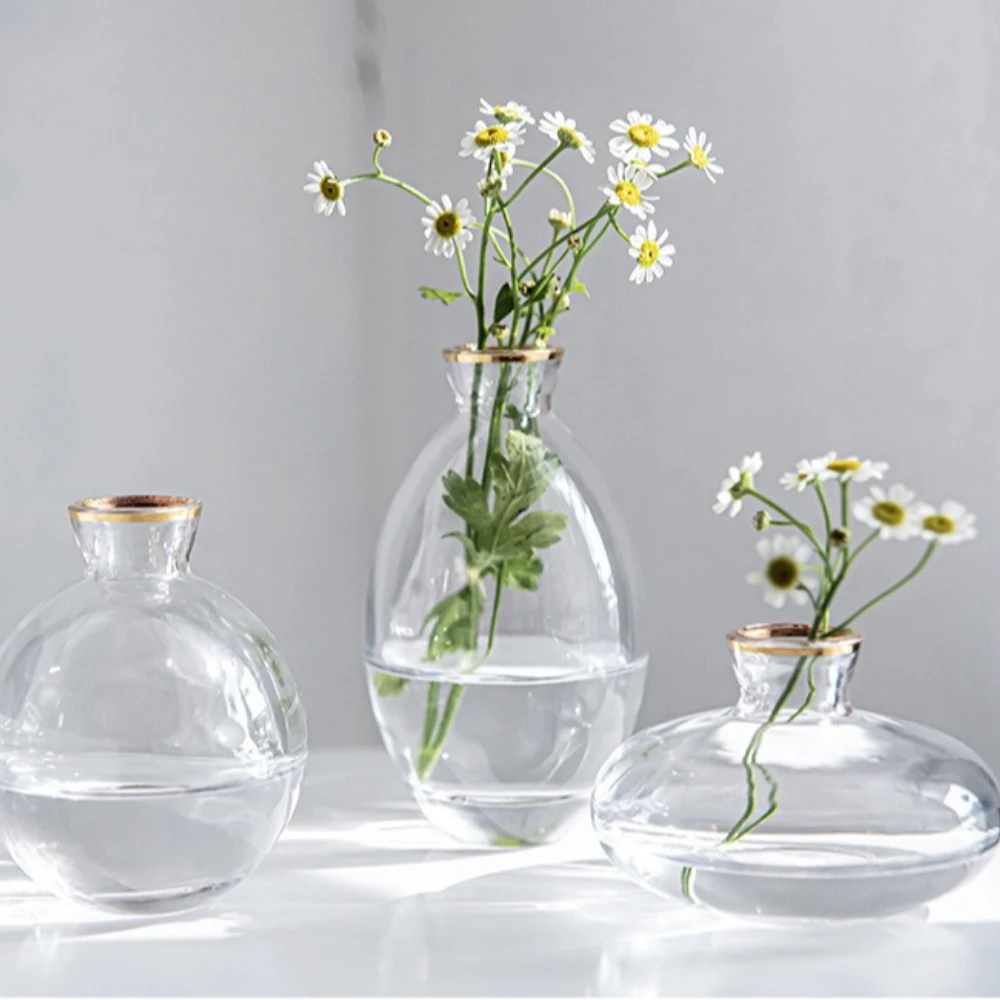Nordic Transparent Glass Vase  - Propagation Station Vase avaliação e preço