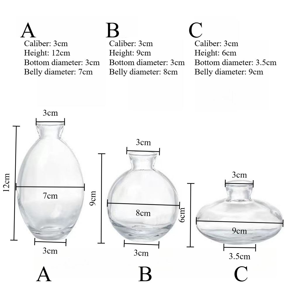 Nordic Transparent Glass Vase  - Propagation Station Vase avaliação e preço