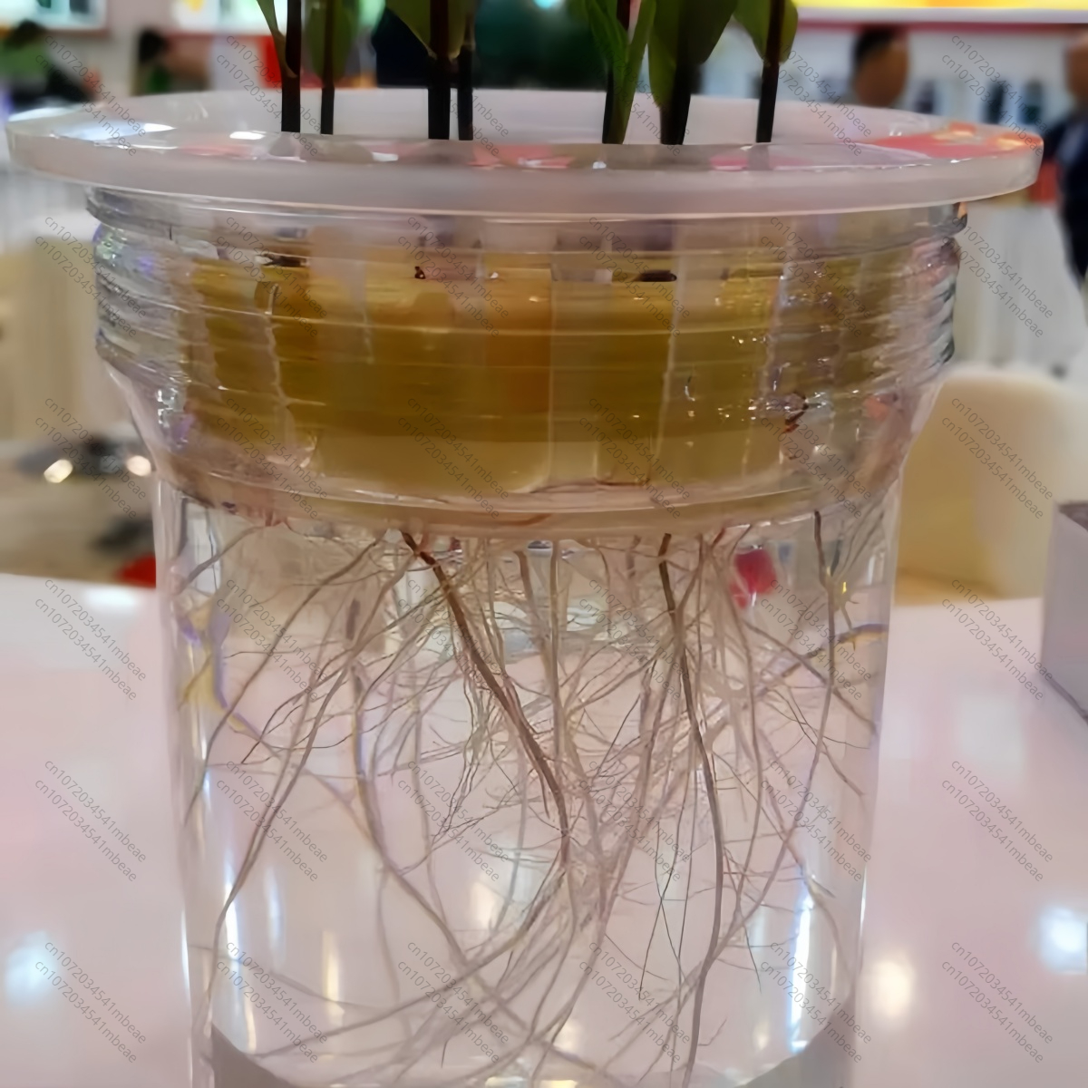 NAA 98% TC 1-Naphthaleneacetic - Rooting Hormone Powder avaliação e preço