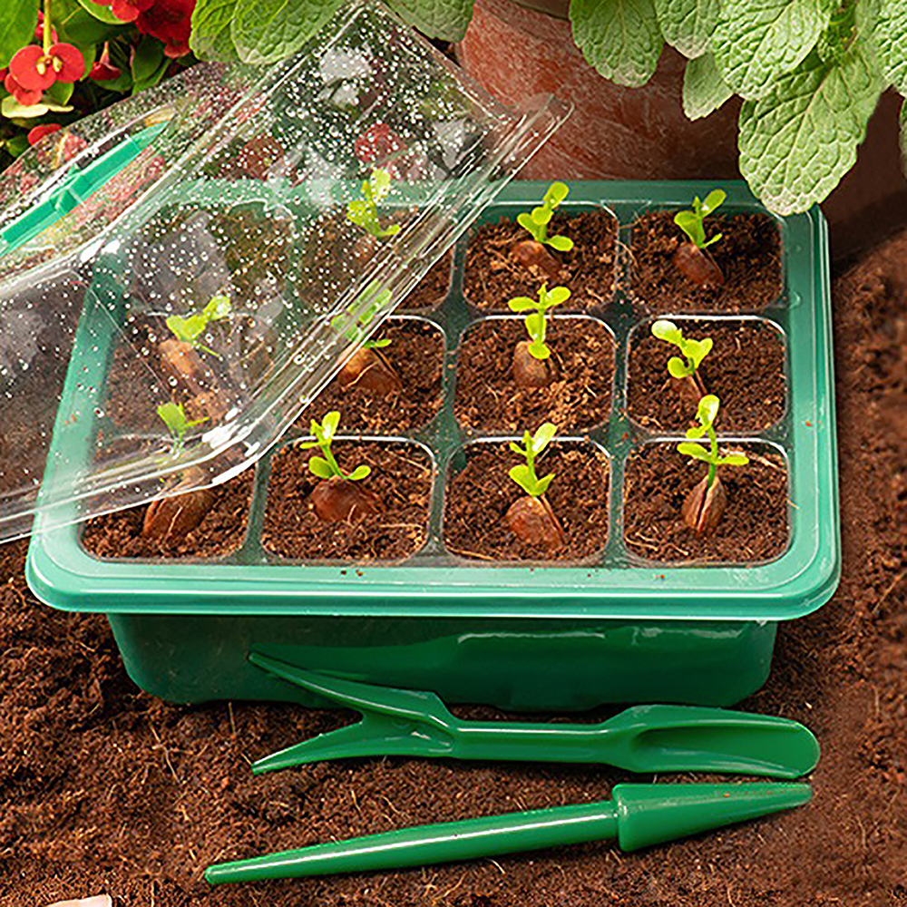 Seed Starter Trays with Grow L - Humidity Dome Kit avaliação e preço