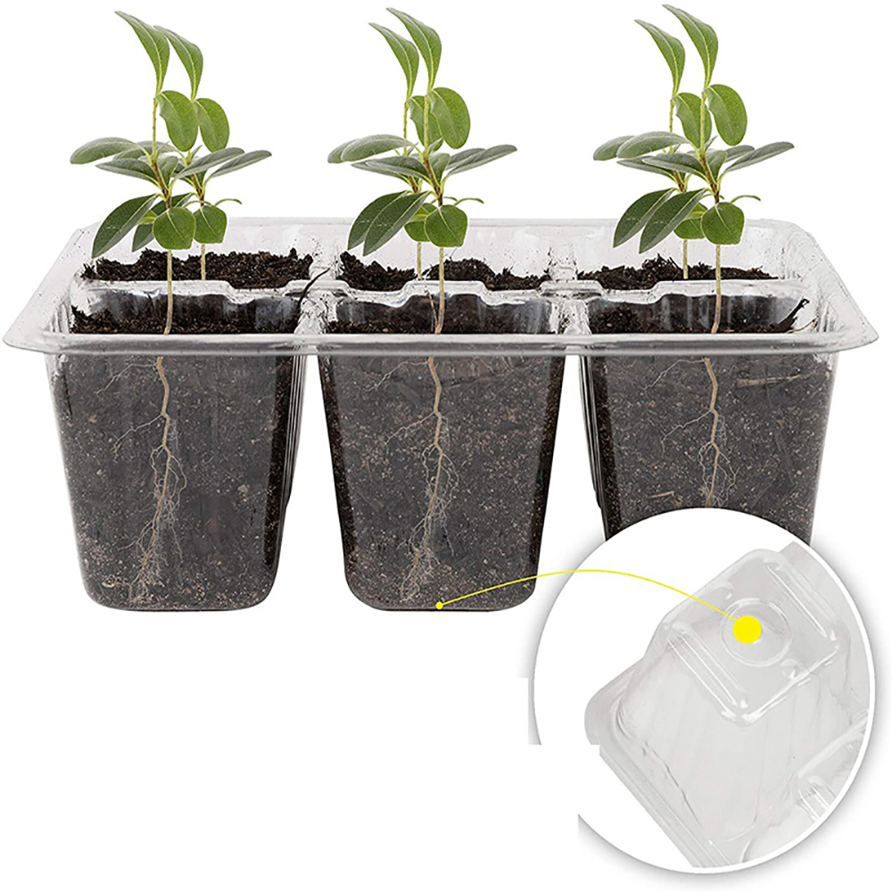 Seed Starter Trays with Grow L - Humidity Dome Kit avaliação e preço