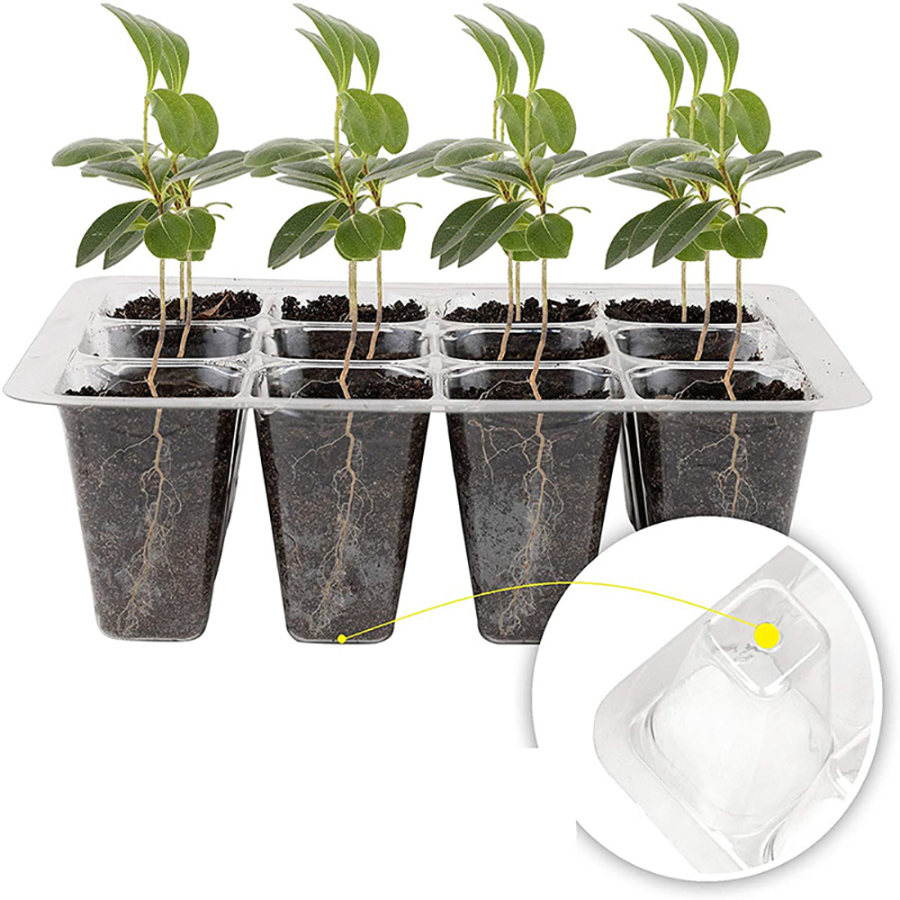 Seed Starter Trays with Grow L - Humidity Dome Kit avaliação e preço