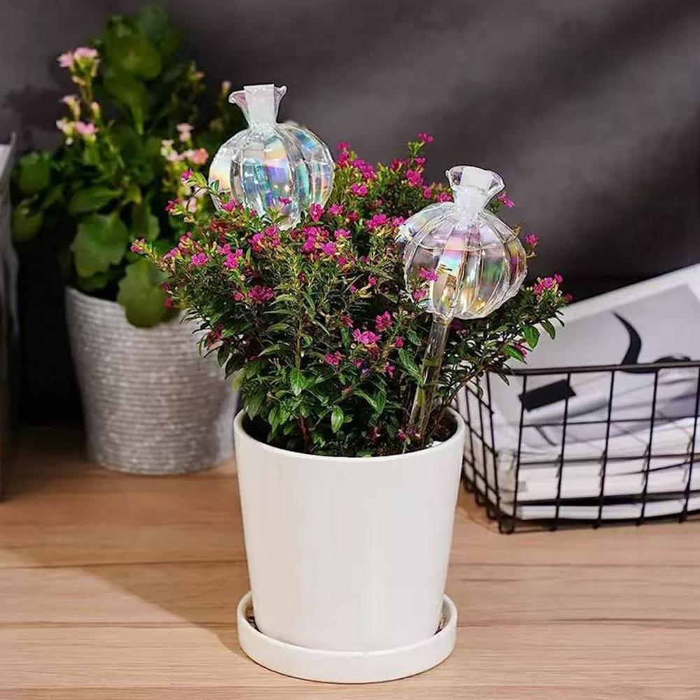 24cm Cactus Self Watering Bulb - Self Watering Insert avaliação e preço