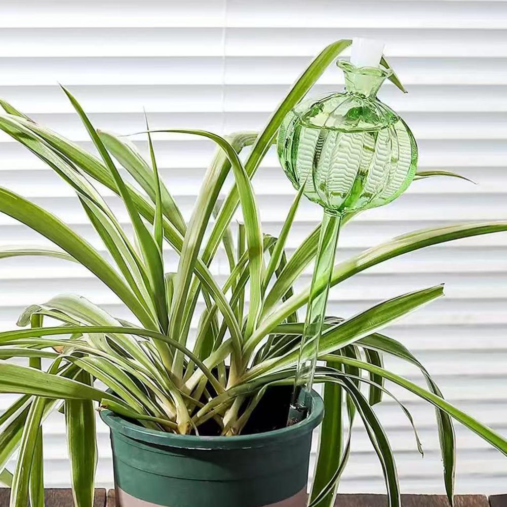 24cm Cactus Self Watering Bulb - Self Watering Insert avaliação e preço