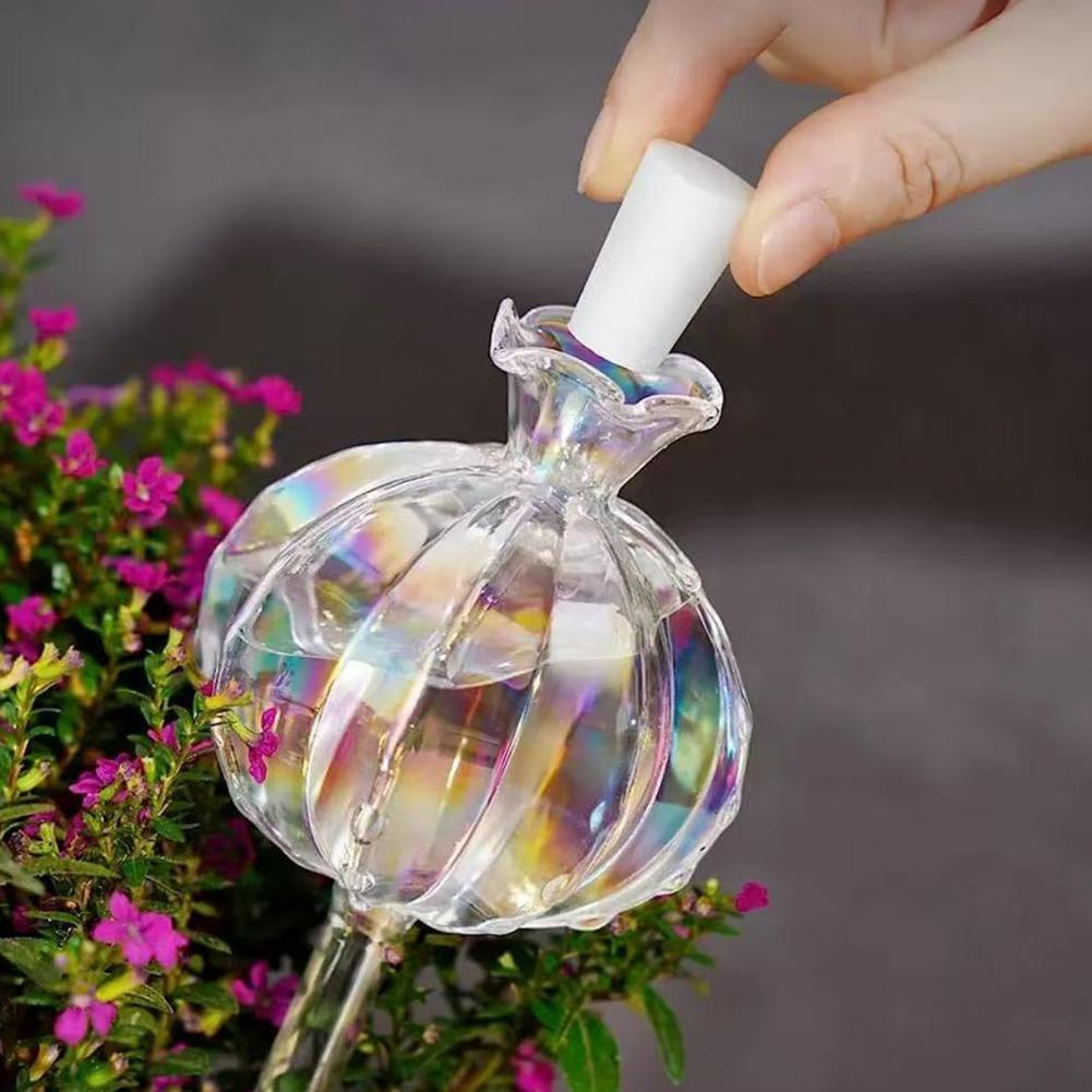 24cm Cactus Self Watering Bulb - Self Watering Insert avaliação e preço