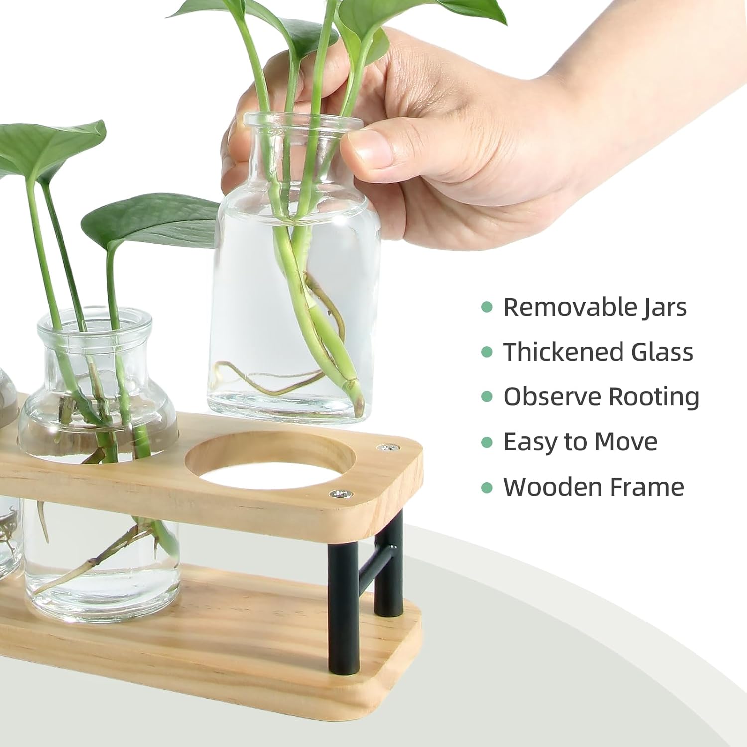 Propagation Station with Woode - Propagation Station Vase avaliação e preço