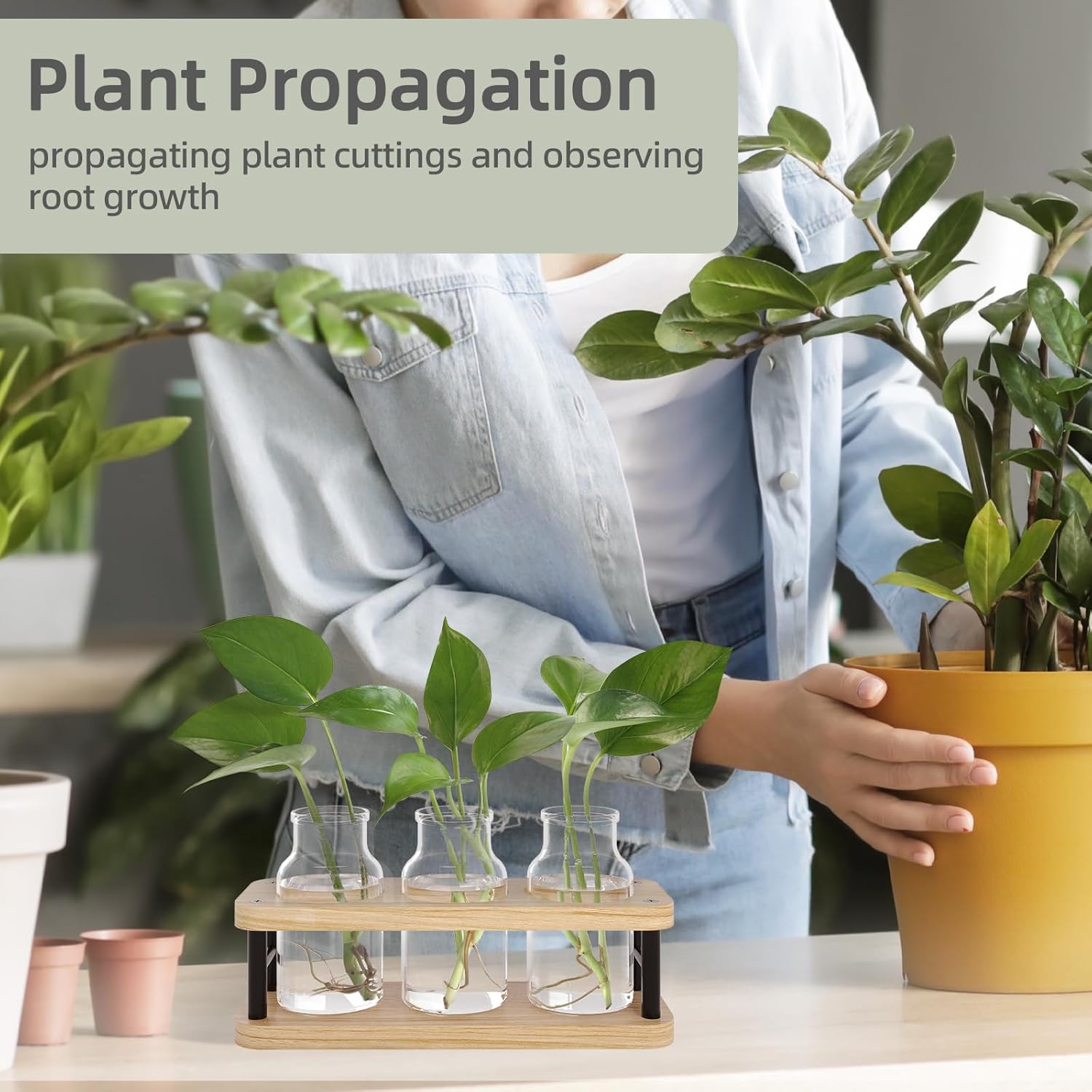 Propagation Station with Woode - Propagation Station Vase avaliação e preço