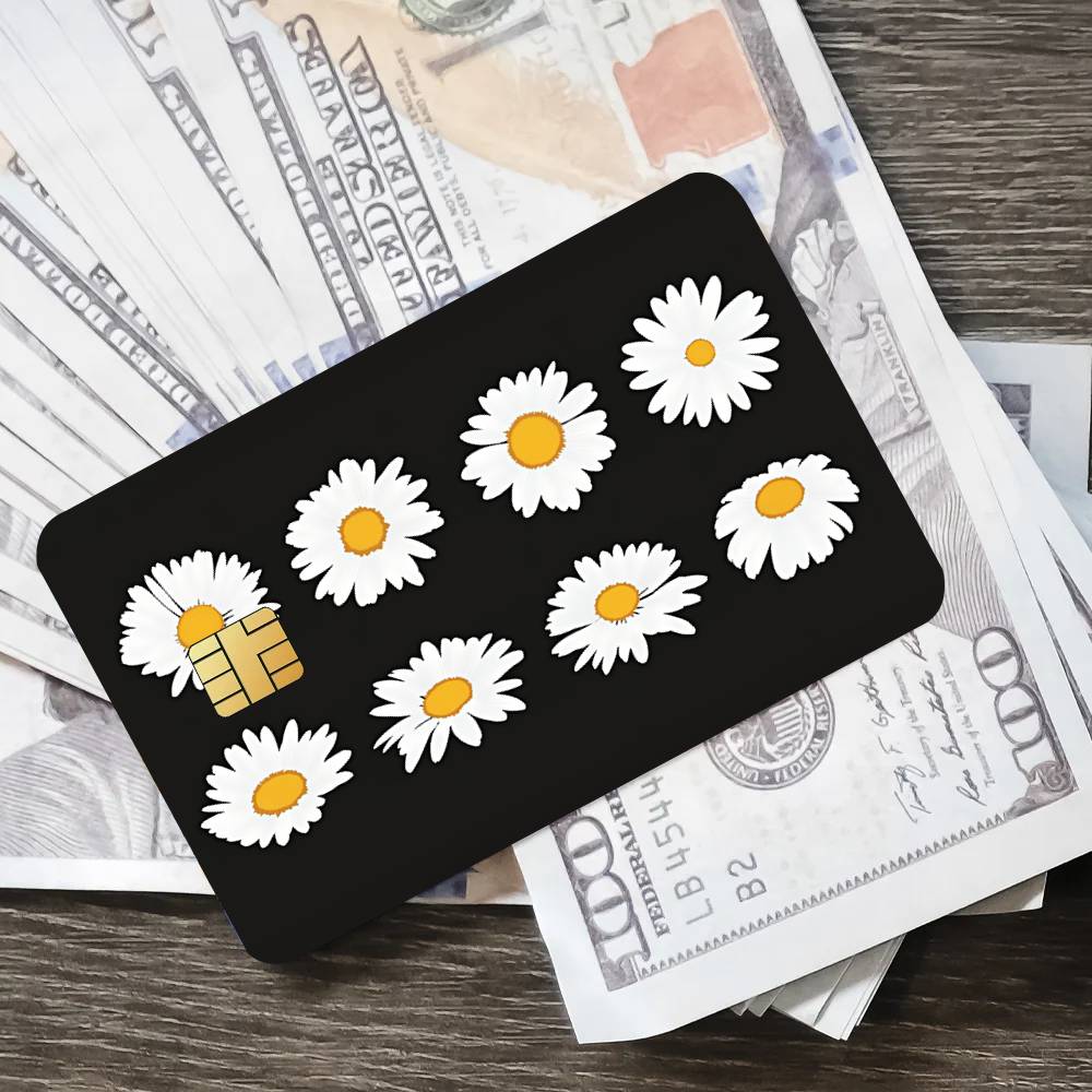Fashion Art P-Peaceminusone Co - Peat Pellet Tray avaliação e preço