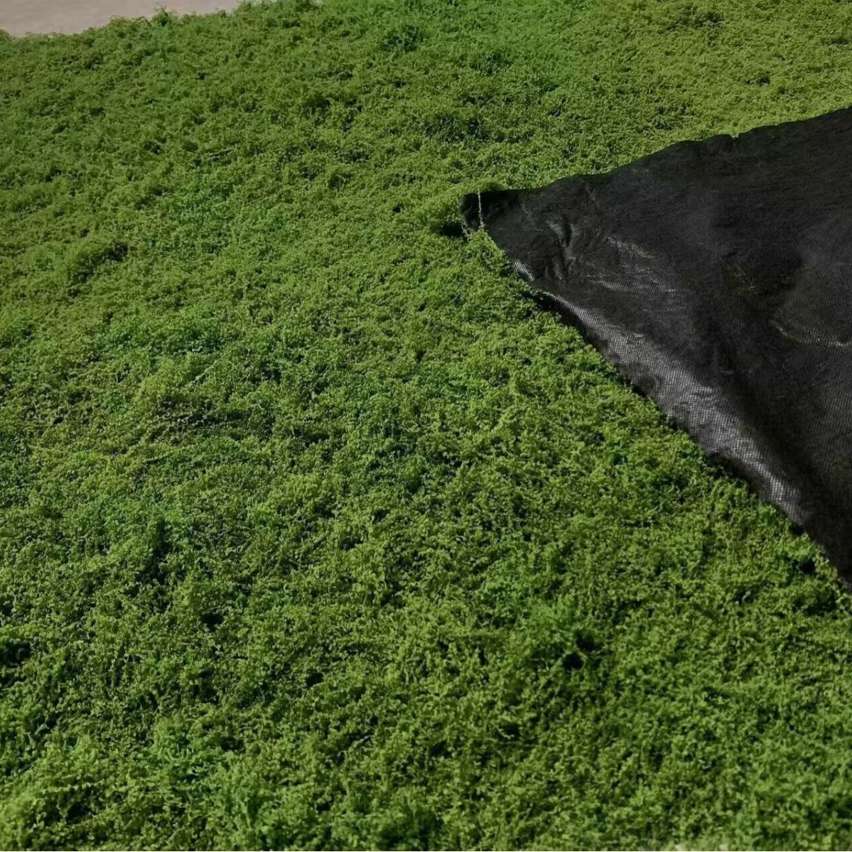 1*1m Fake Moss DIY Crafts Gras - Sphagnum Moss Dry avaliação e preço